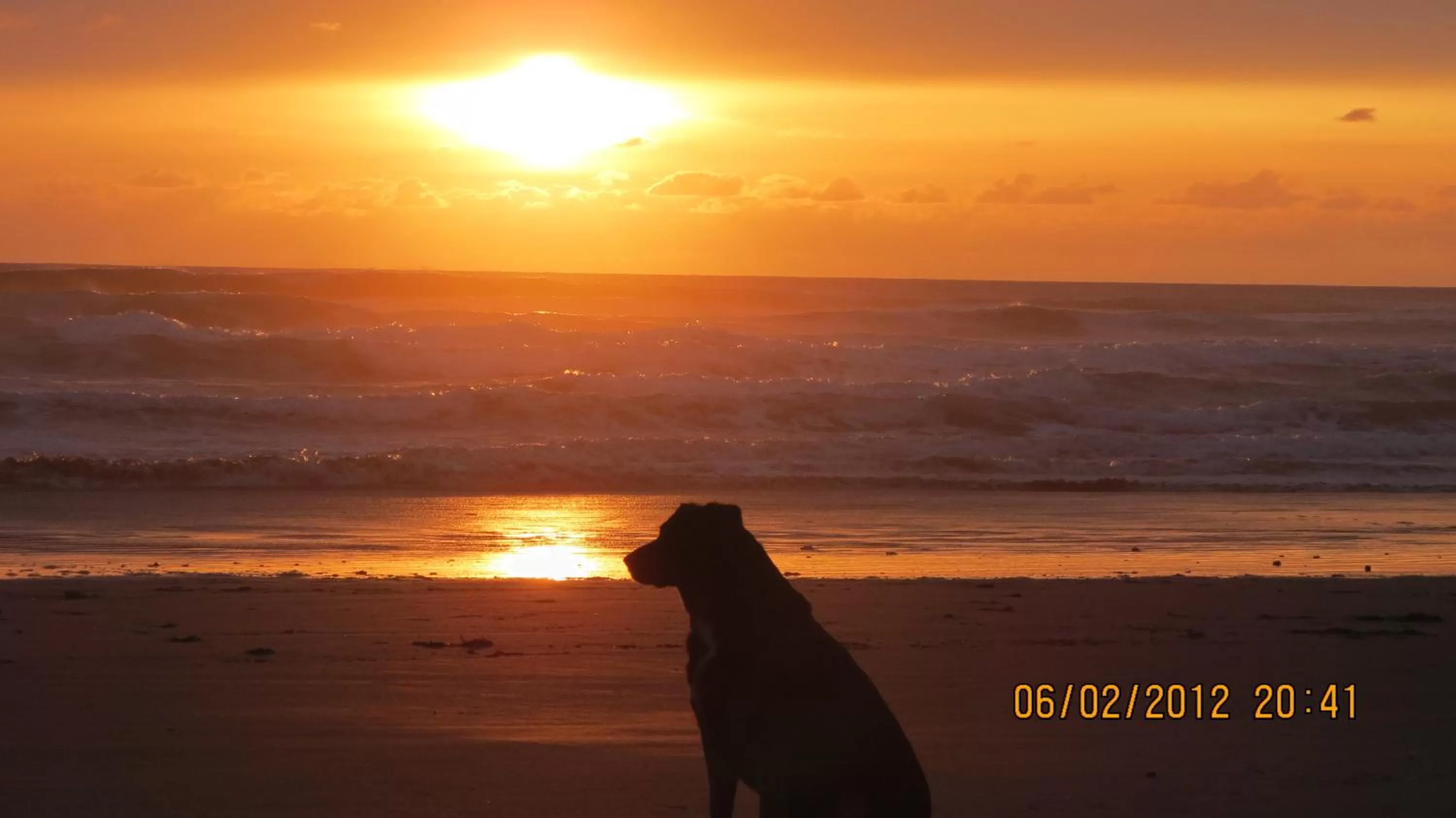 Area and facilities in Money Saver Motel