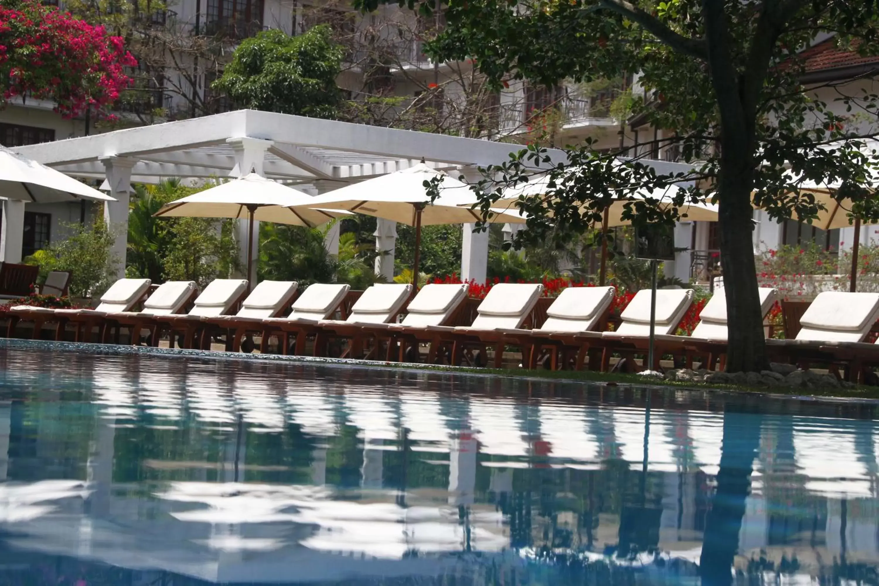 Swimming Pool in Mahaweli Reach Hotel