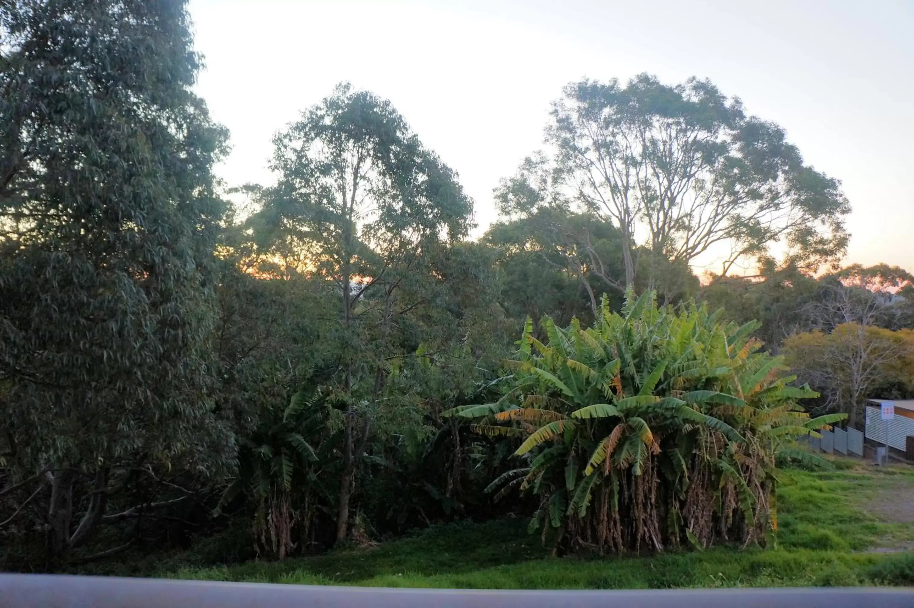 Garden in Panorama Motor Inn