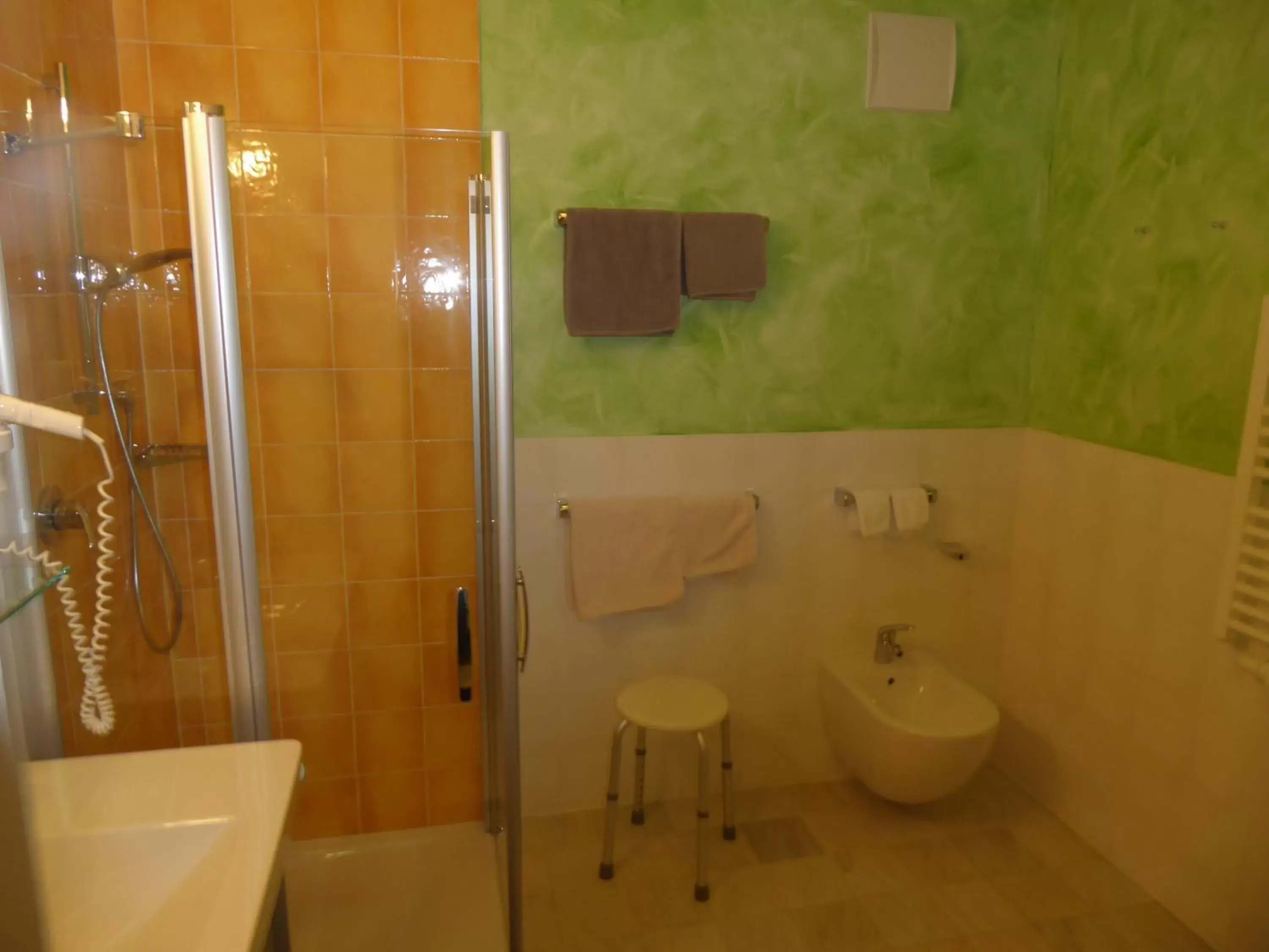 Decorative detail, Bathroom in Sporthotel Rasen