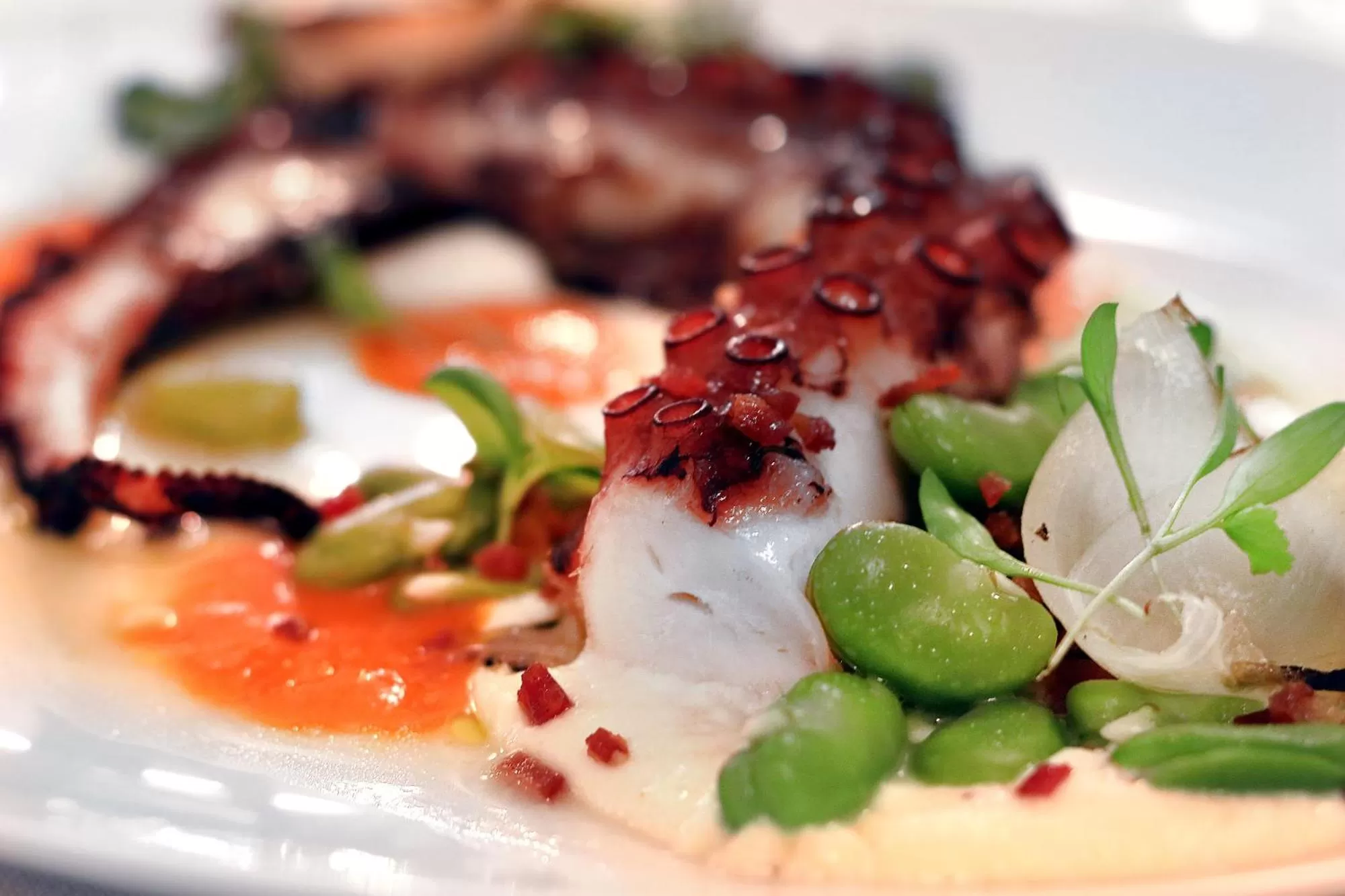 Restaurant/places to eat in Casas Da Lapa, Nature & Spa Hotel