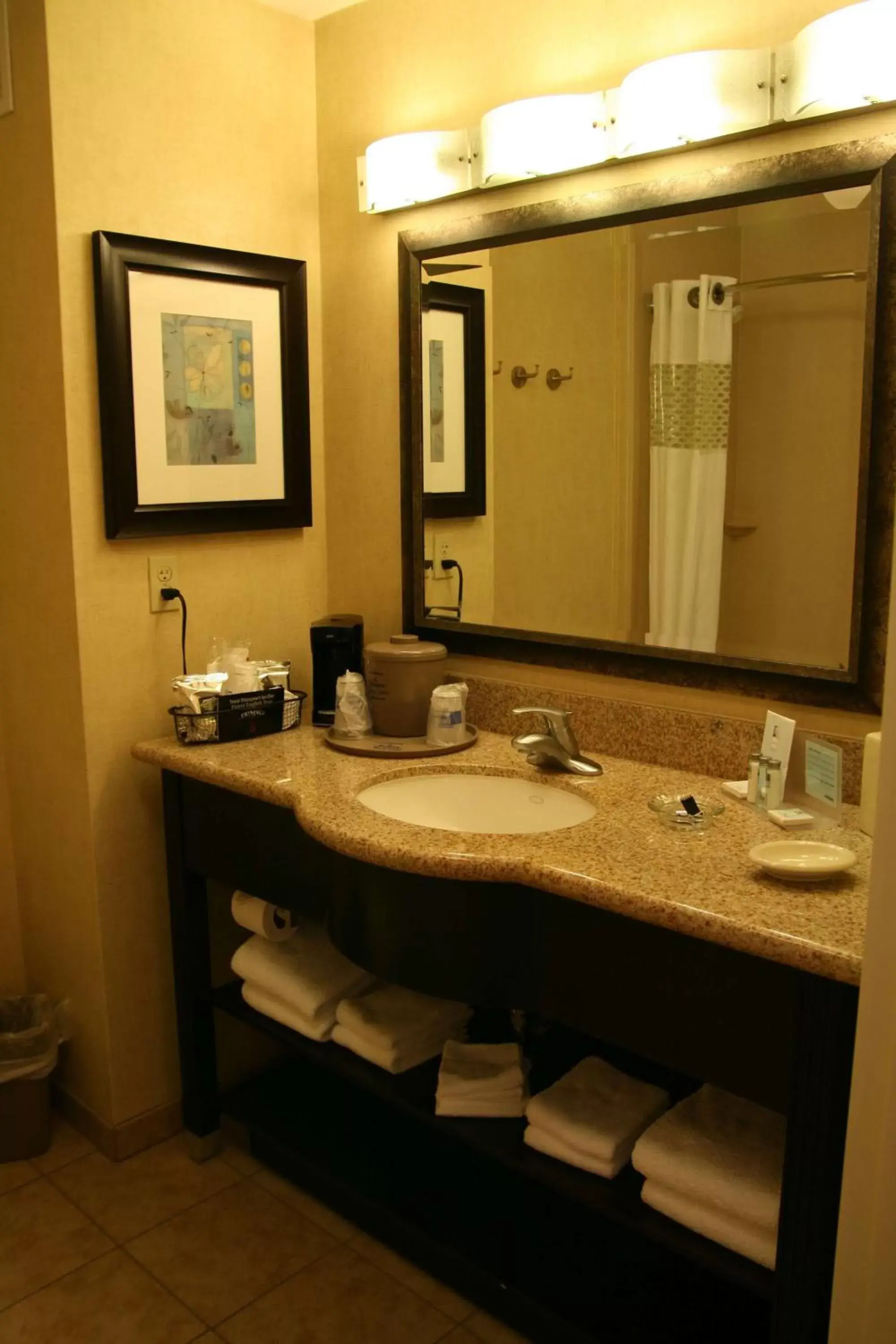 Bathroom in Hampton Inn and Suites Barstow