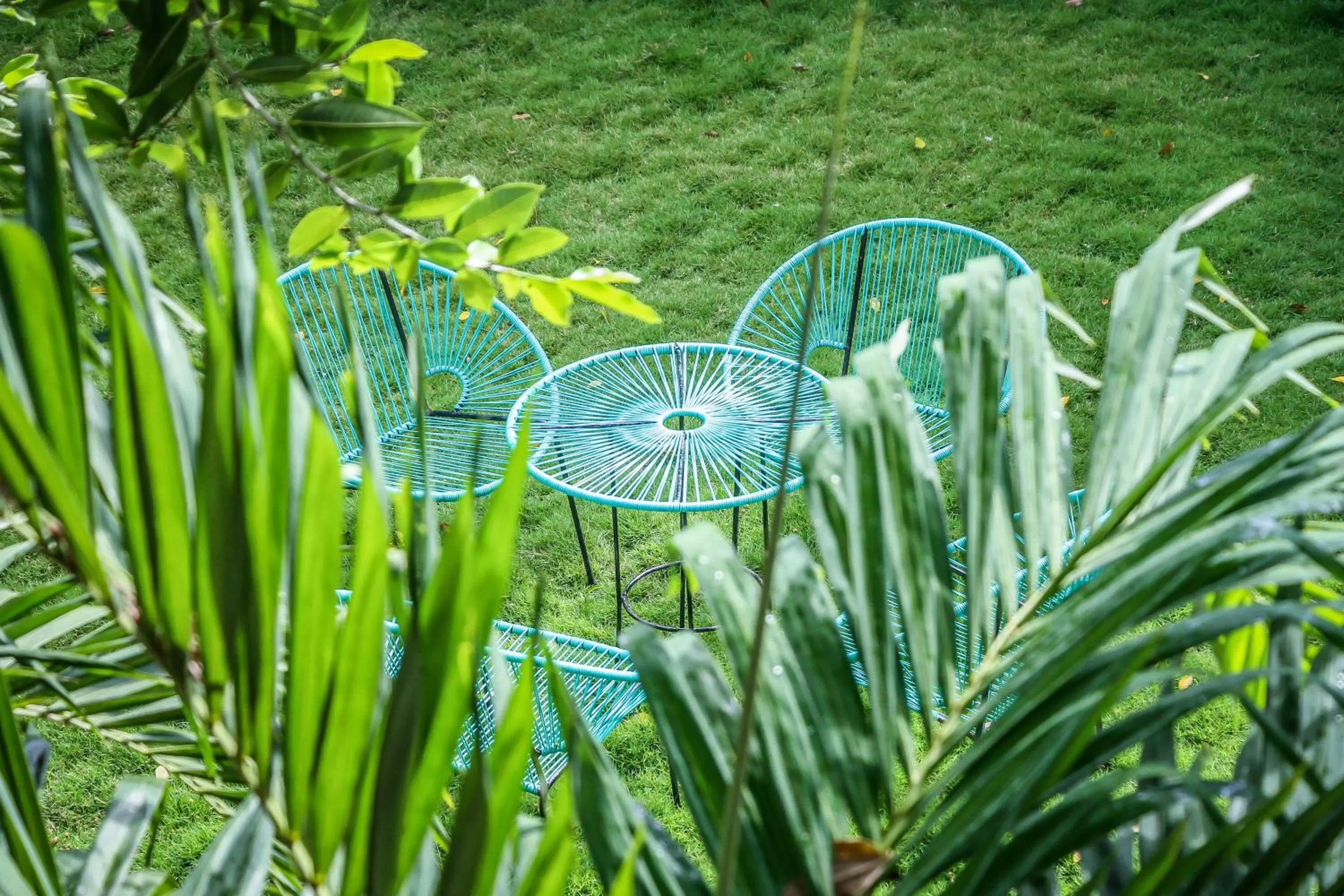 Garden view in Corazon De Jade Tulum