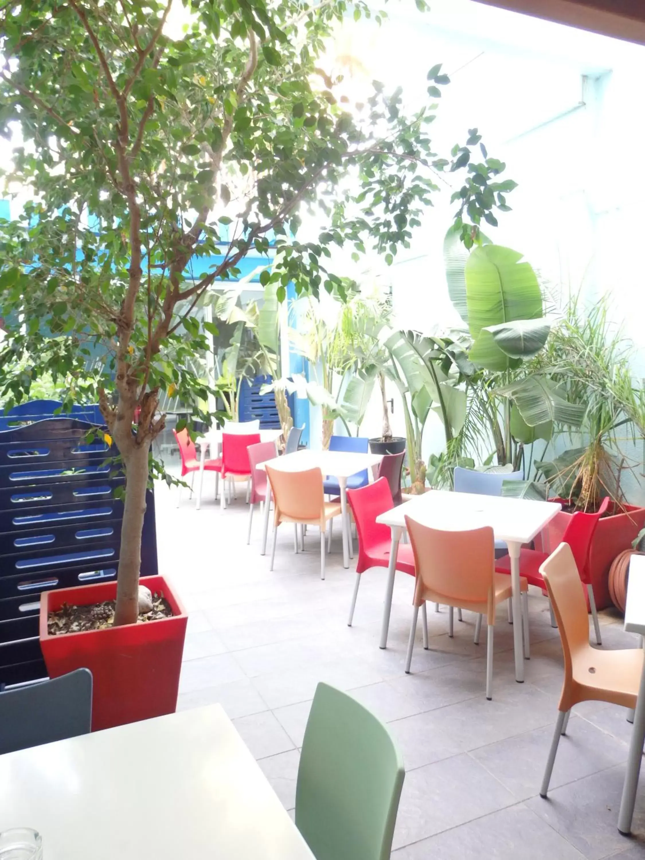 Patio, Restaurant/Places to Eat in Parrots Sitges Hotel
