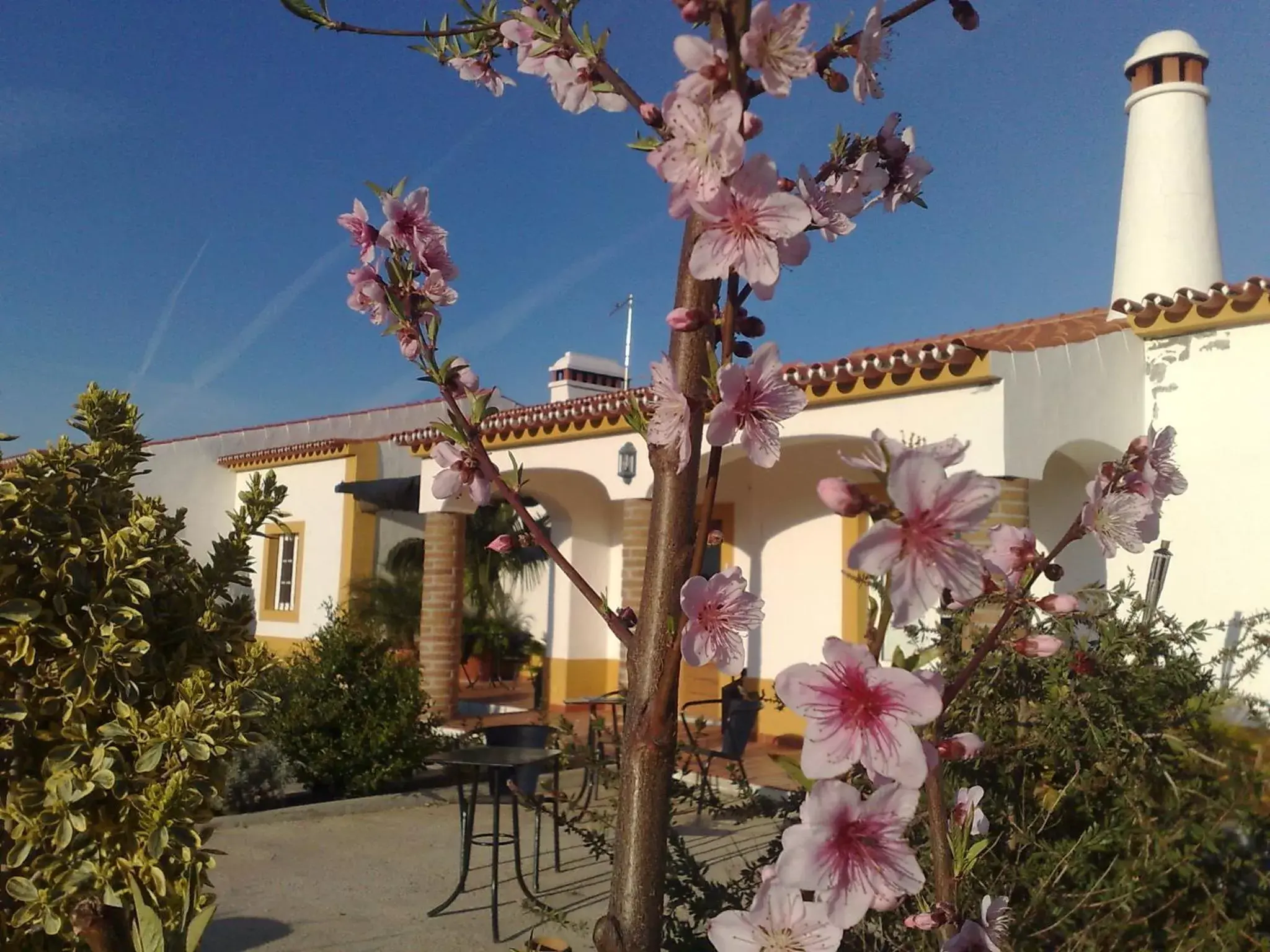 Facade/entrance, Property Building in Monte Santa Catarina