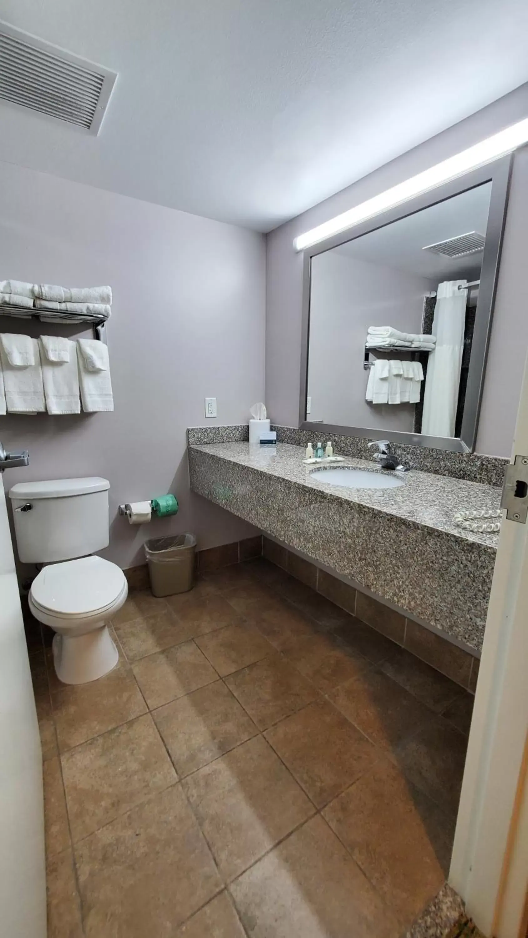 Bathroom in Quality Inn & Suites Near Fairgrounds & Ybor City