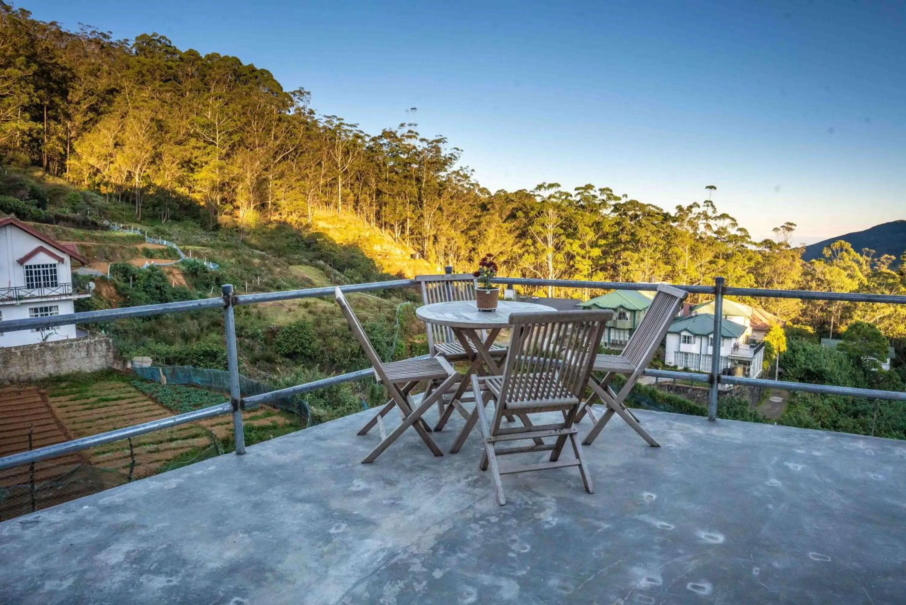 Natural landscape in Forest View Lodge