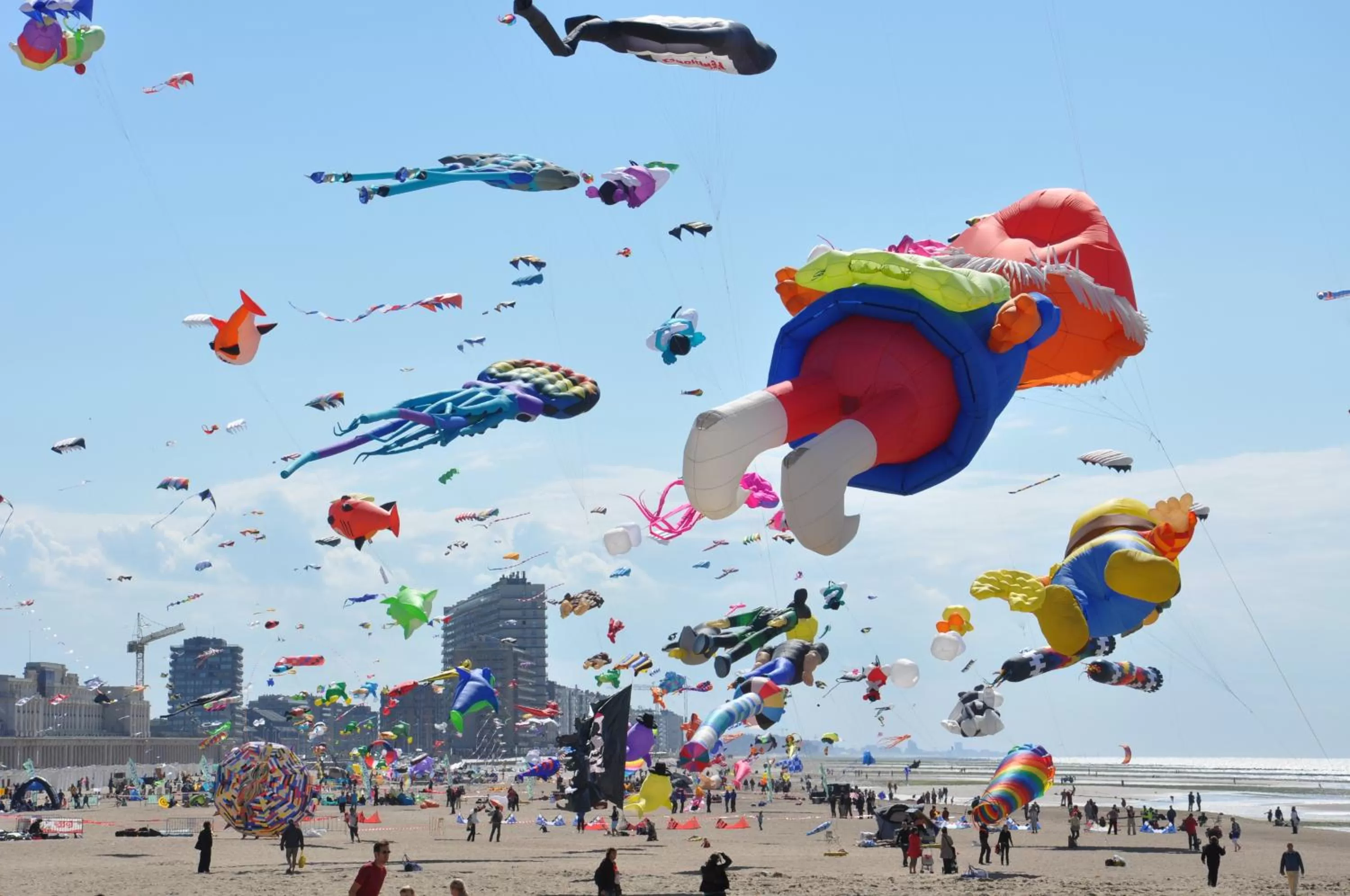 Area and facilities in Hotel Europe