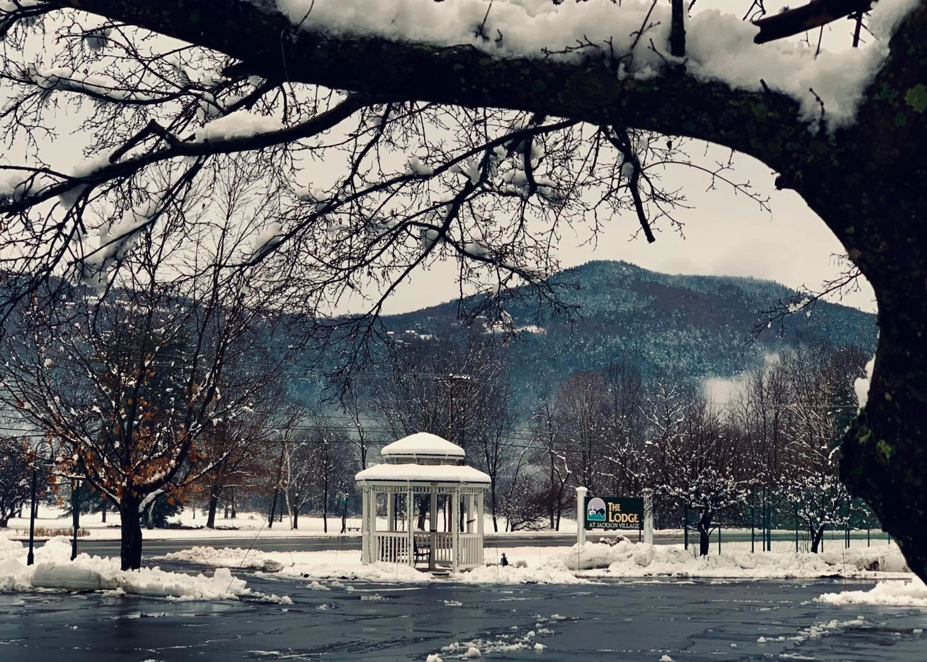 Mountain view in The Lodge at Jackson Village
