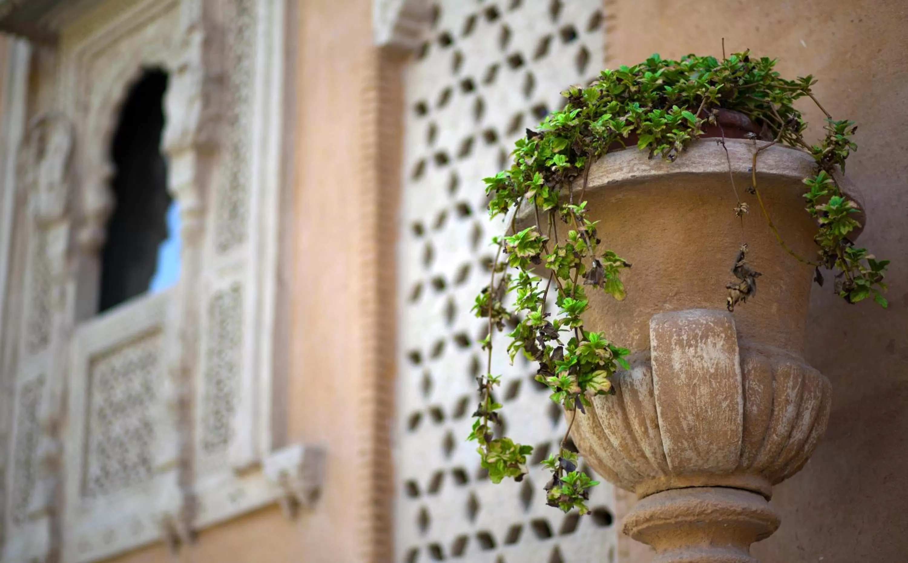 Other in Ajit Bhawan - A Palace Resort