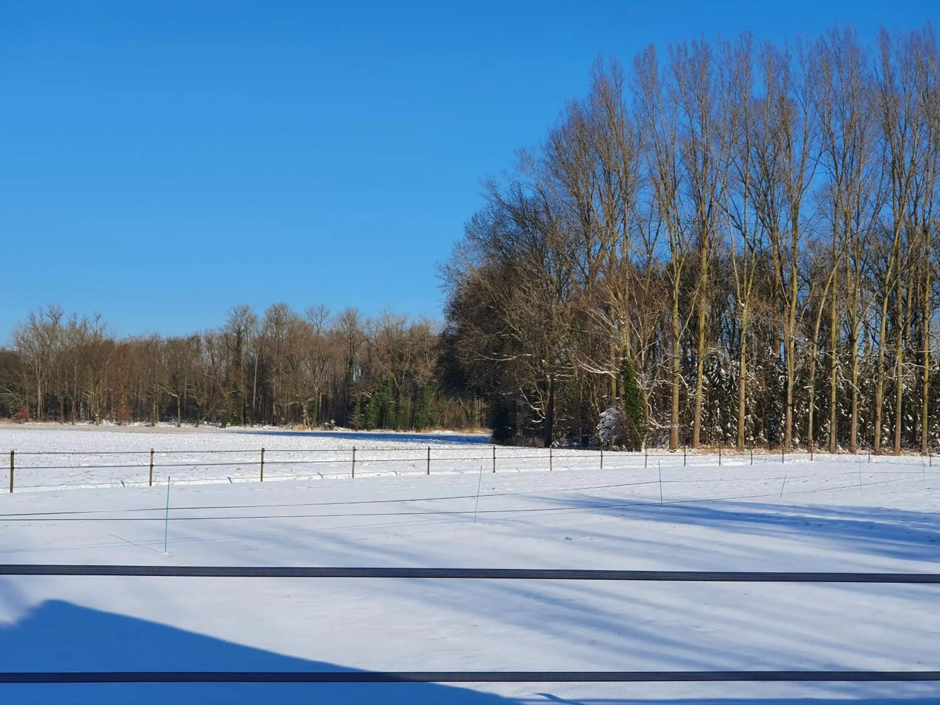 View (from property/room), Winter in B & B de Stok