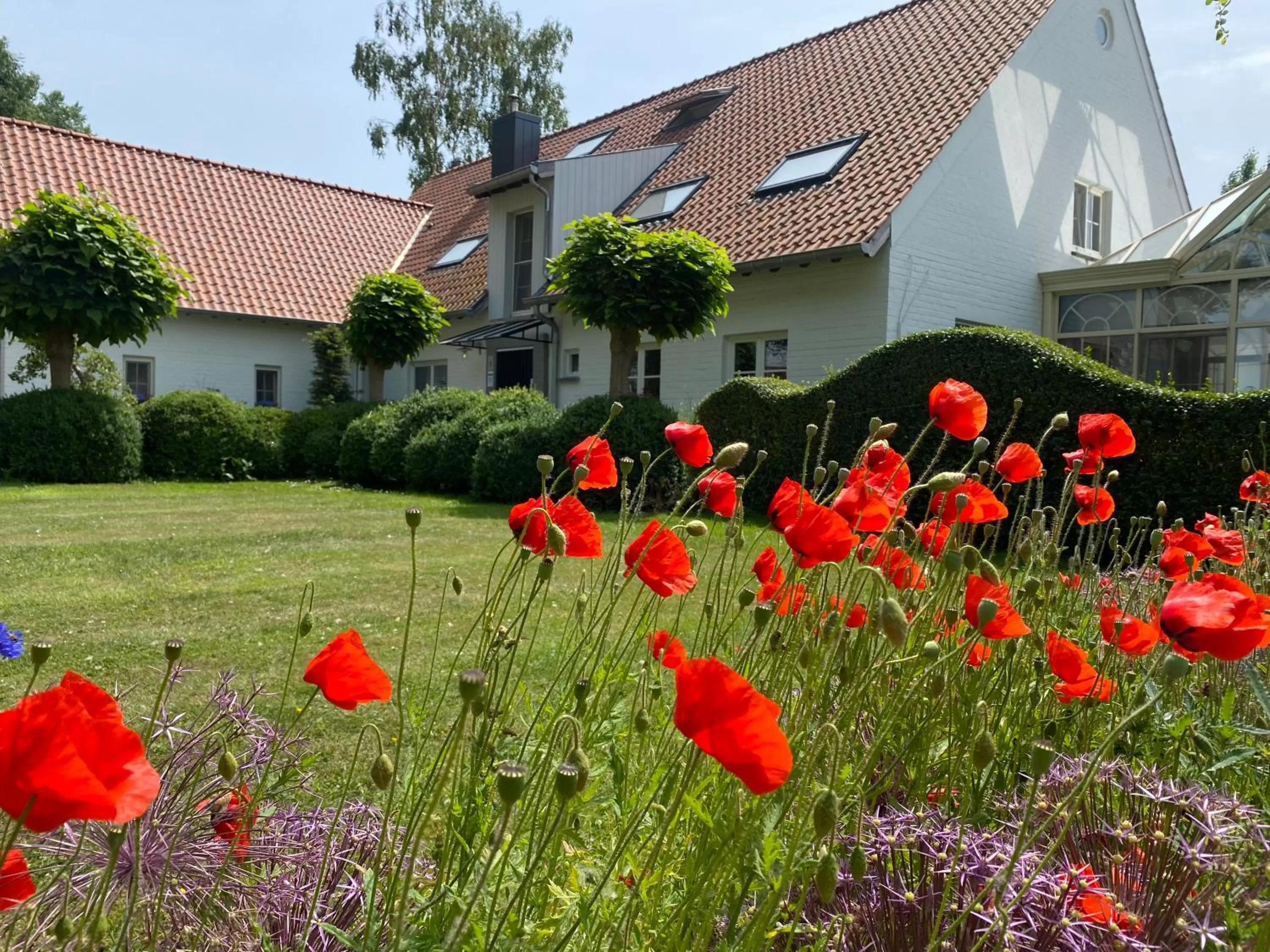 Property building in Boutique hotel Het Bloemenhof