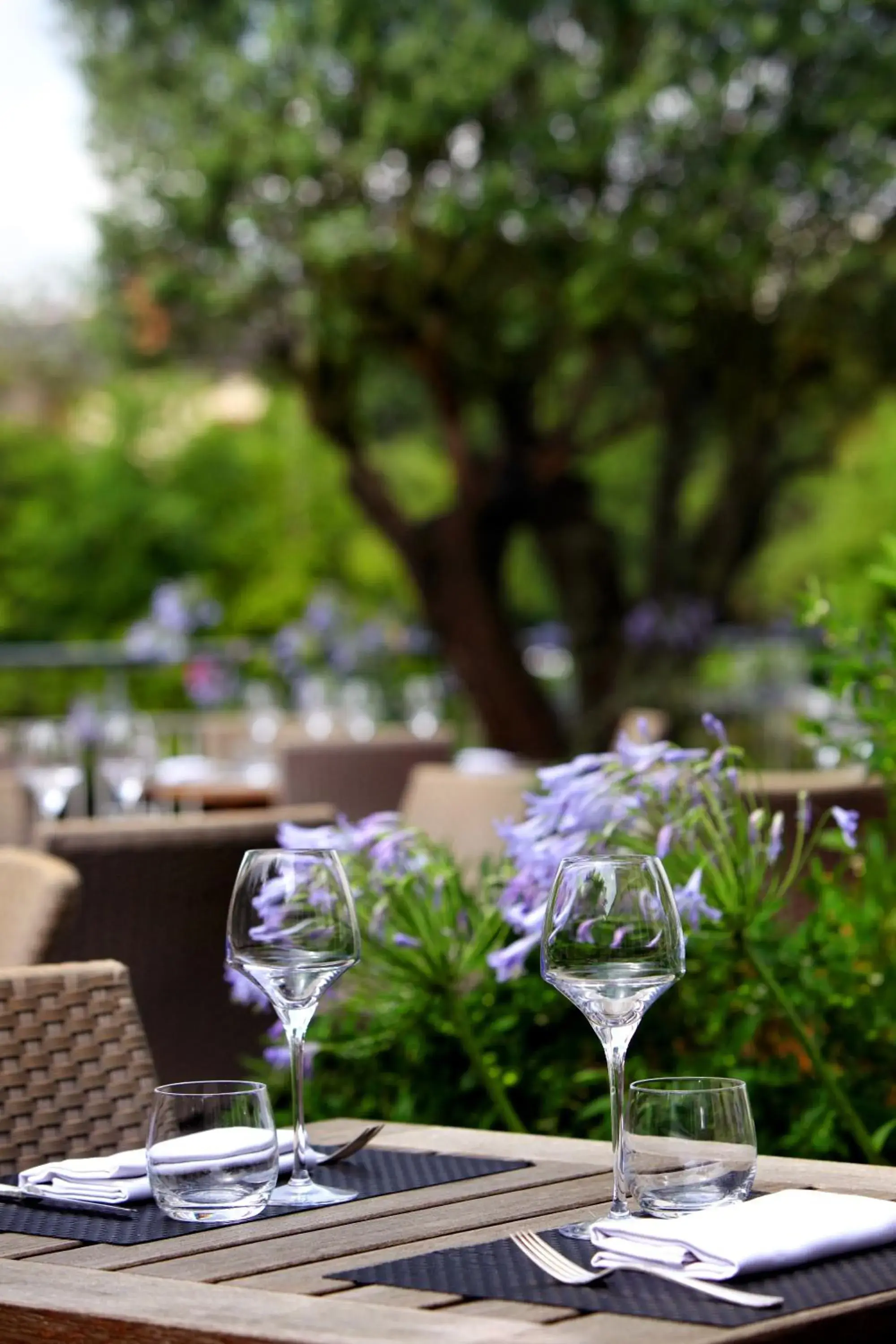 Balcony/Terrace in Le Germinal