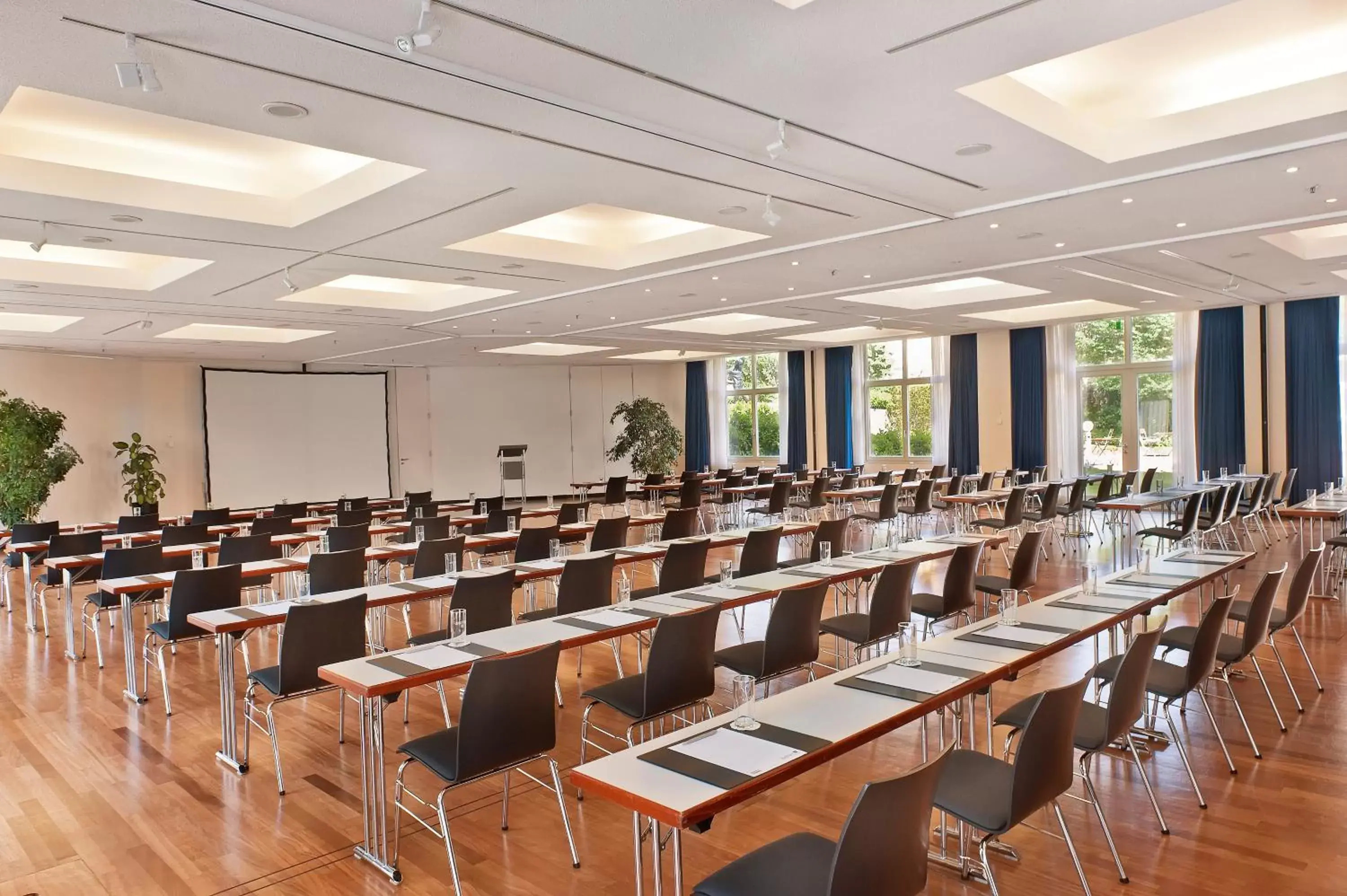 Business facilities in Radisson Blu Park Hotel & Conference Centre