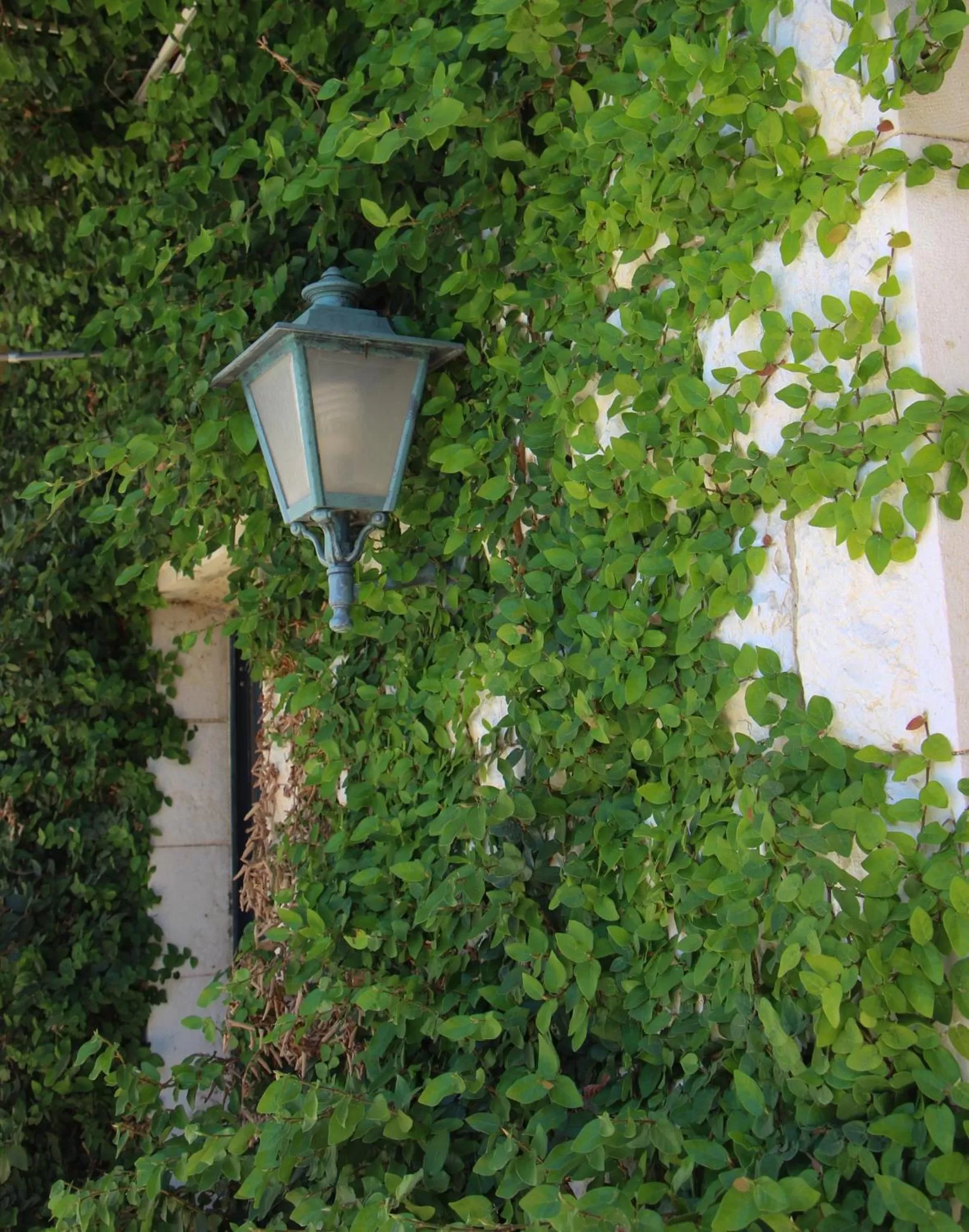 Garden in Villa Galilee Boutique Hotel and Spa