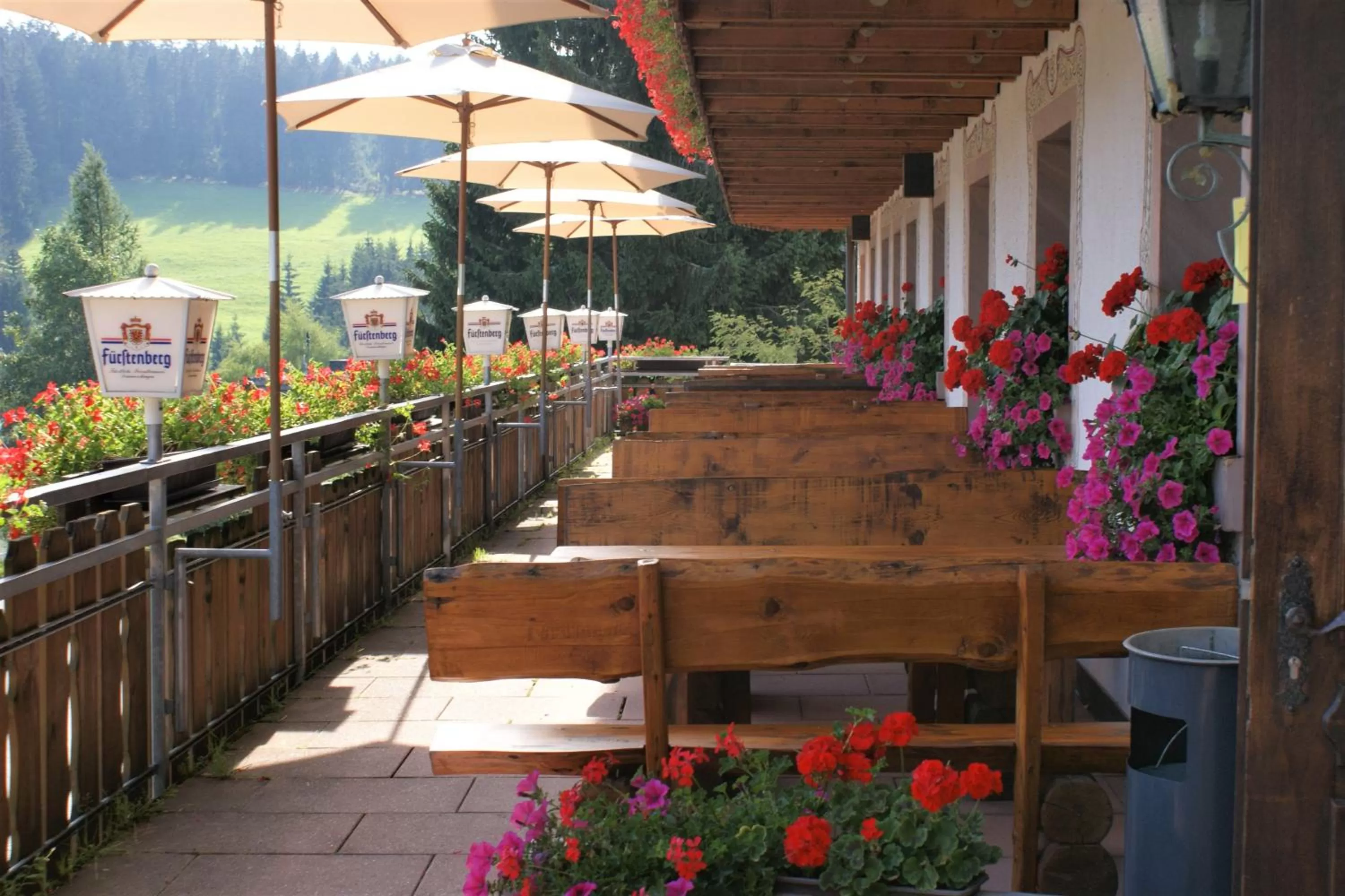Balcony/Terrace in ZUR TRAUBE Schwarzwaldhotel & Restaurant am Titisee