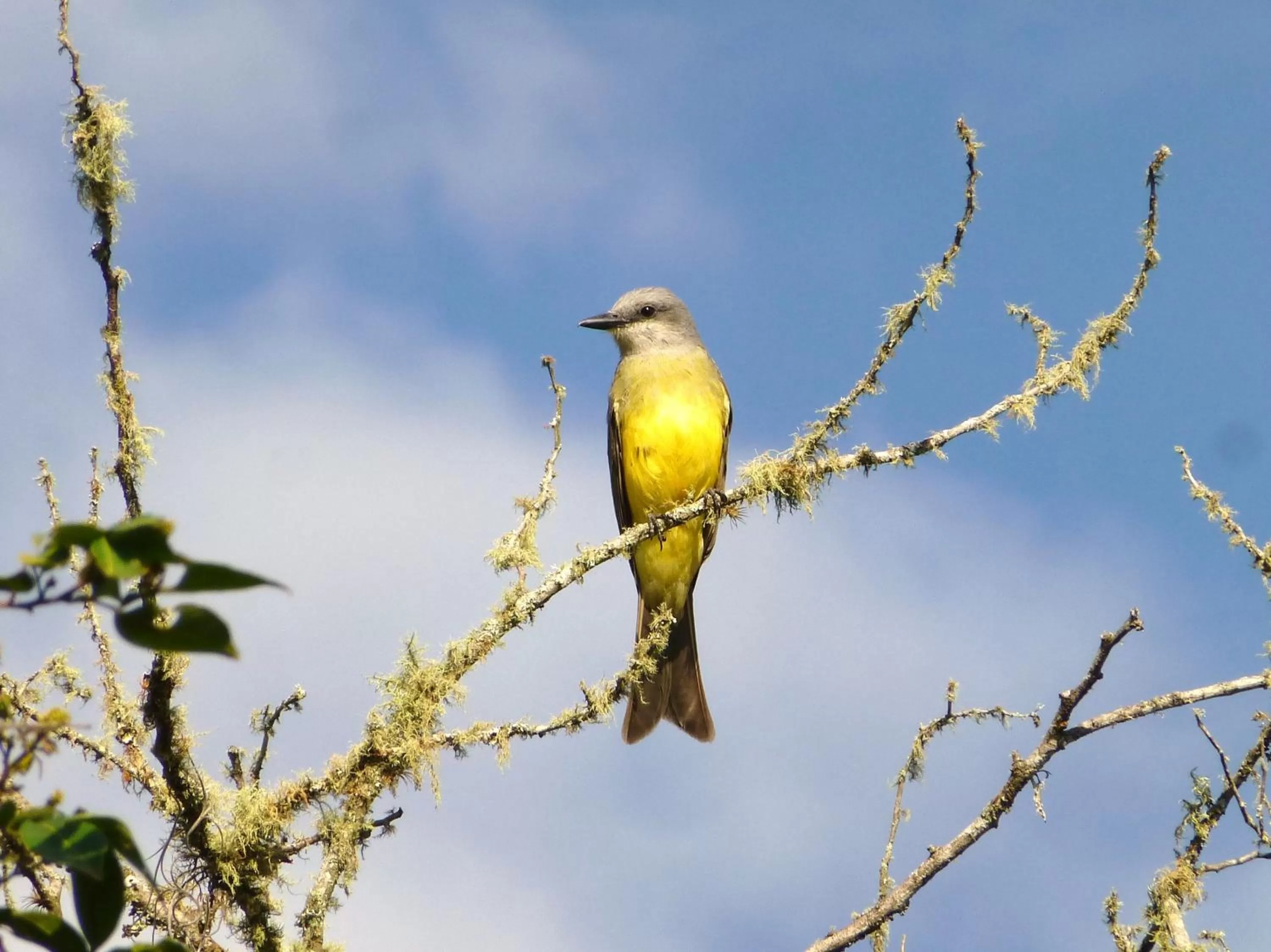 Garden in Finca El Cielo
