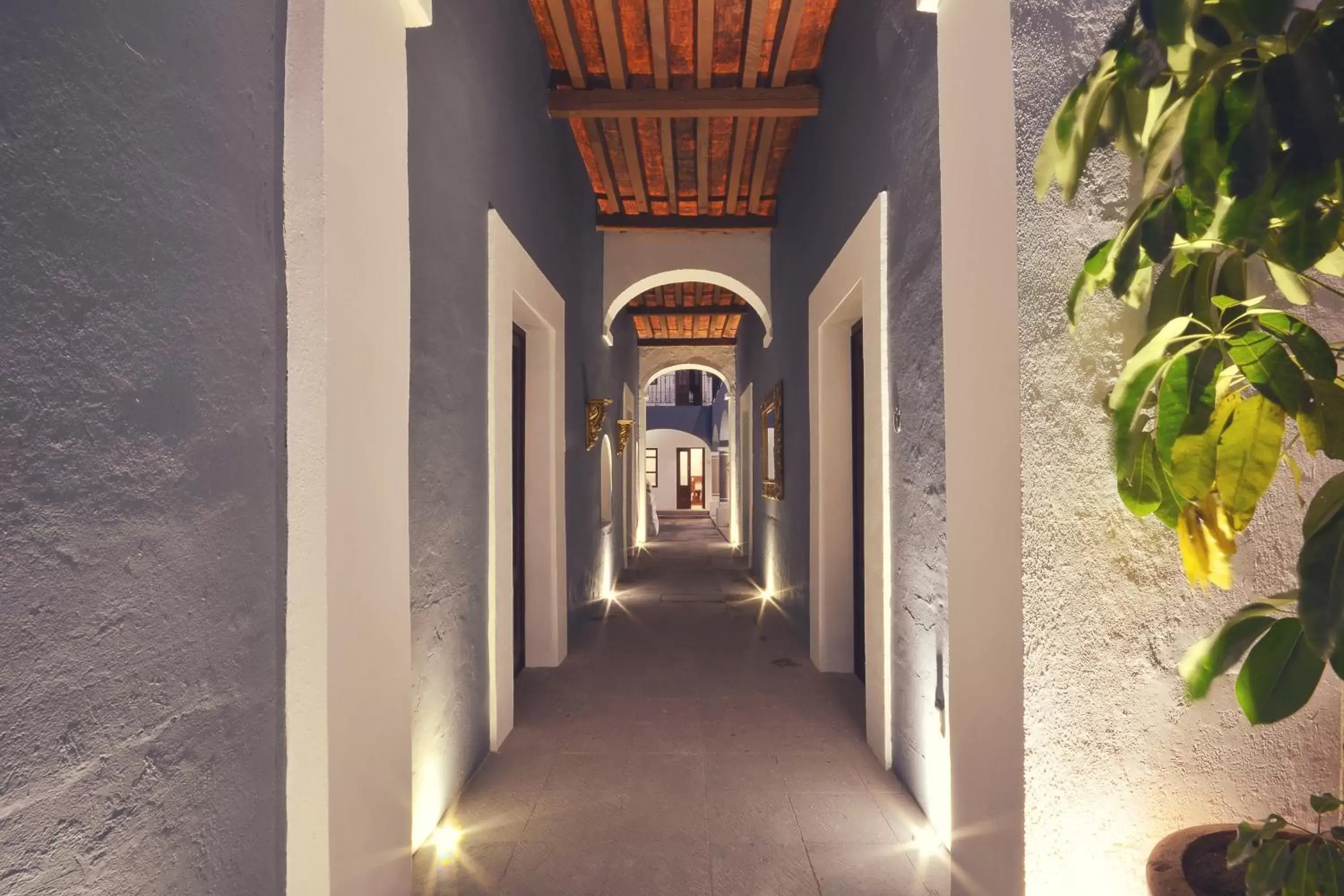 Patio in Hotel Boutique Casa Altamira Patio in Hotel Boutique Casa Altamira