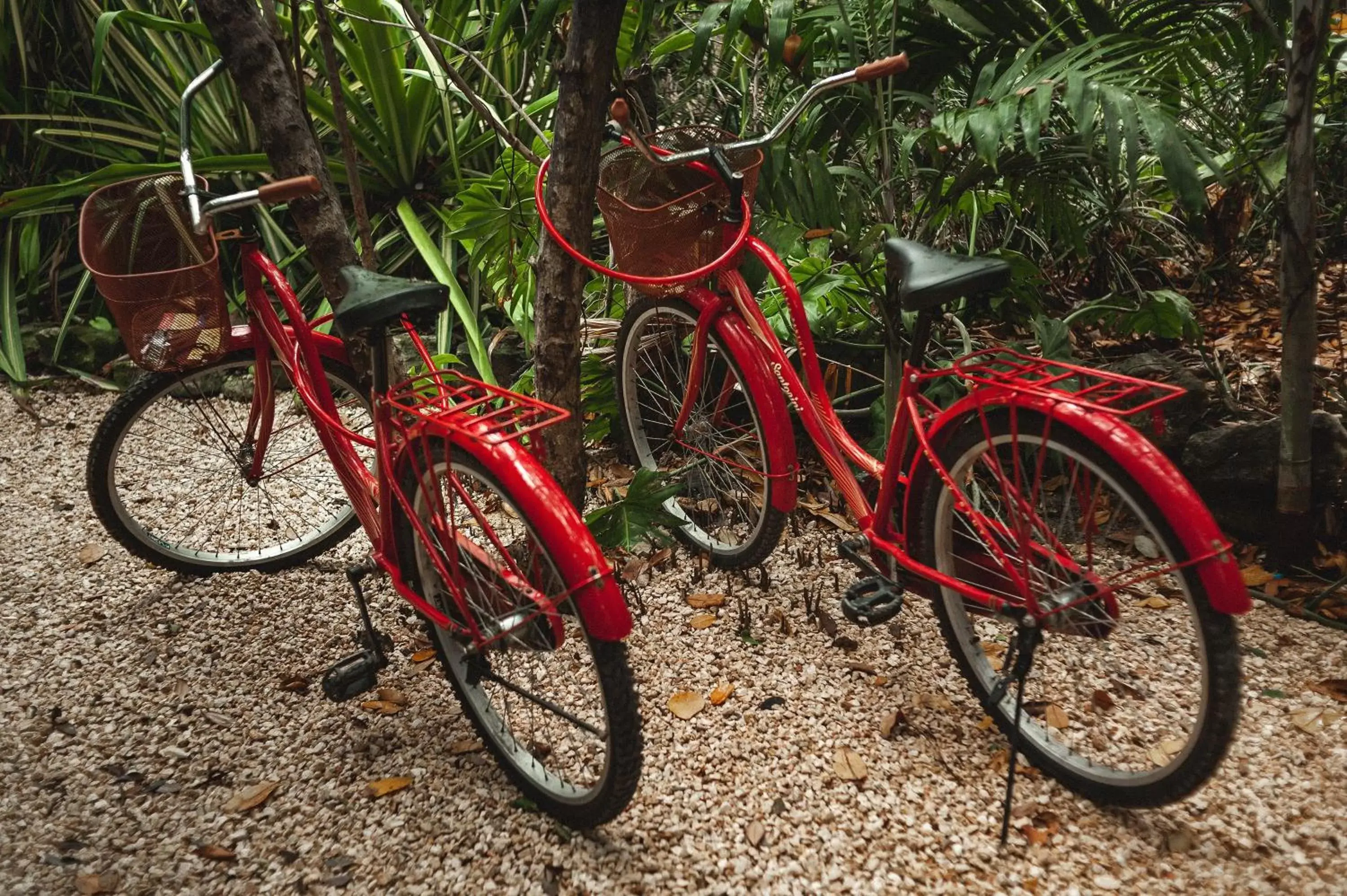 Cycling, Biking in Casa Coyote Tulum