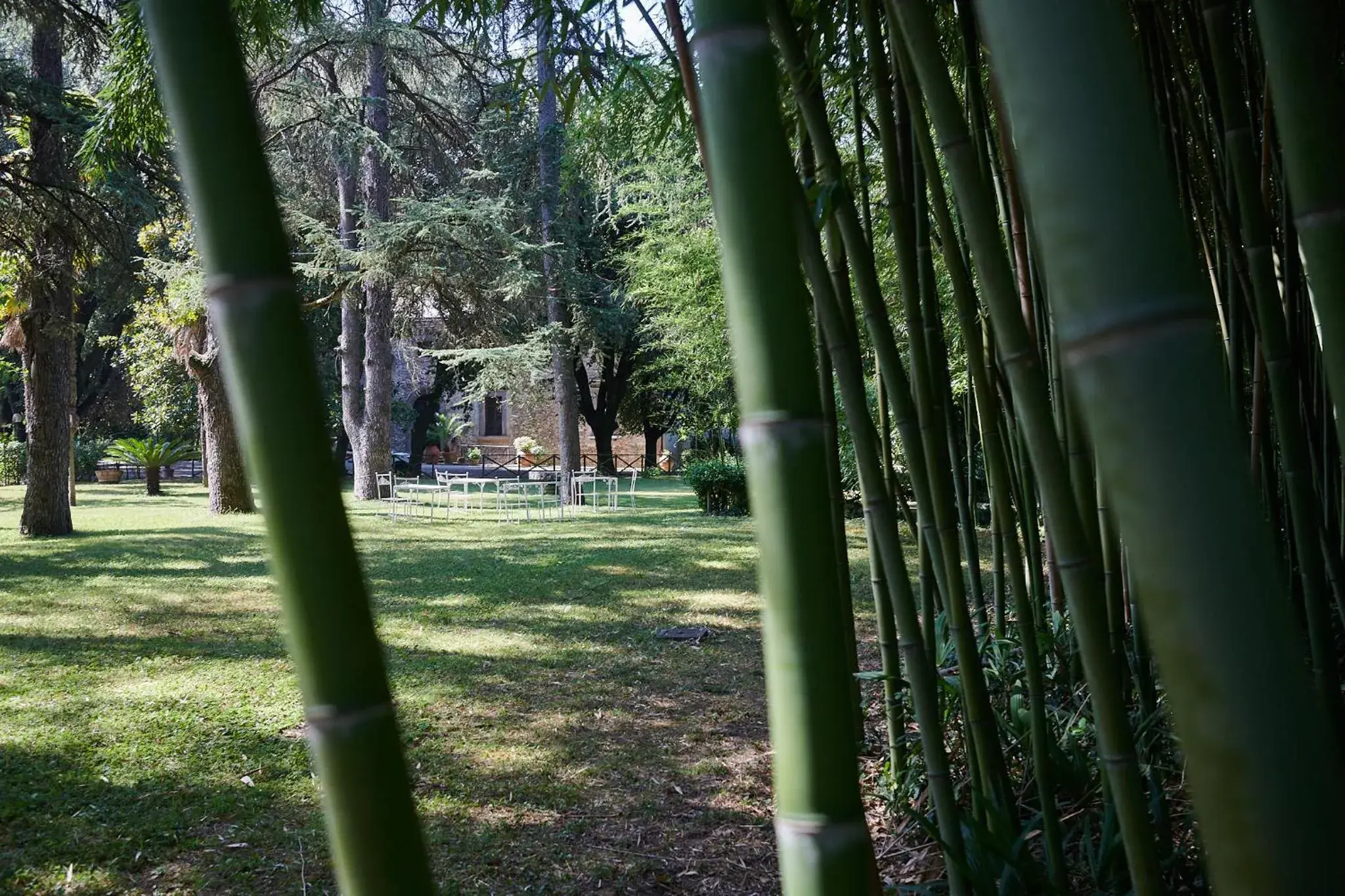 Garden in Hotel Villa Ciconia