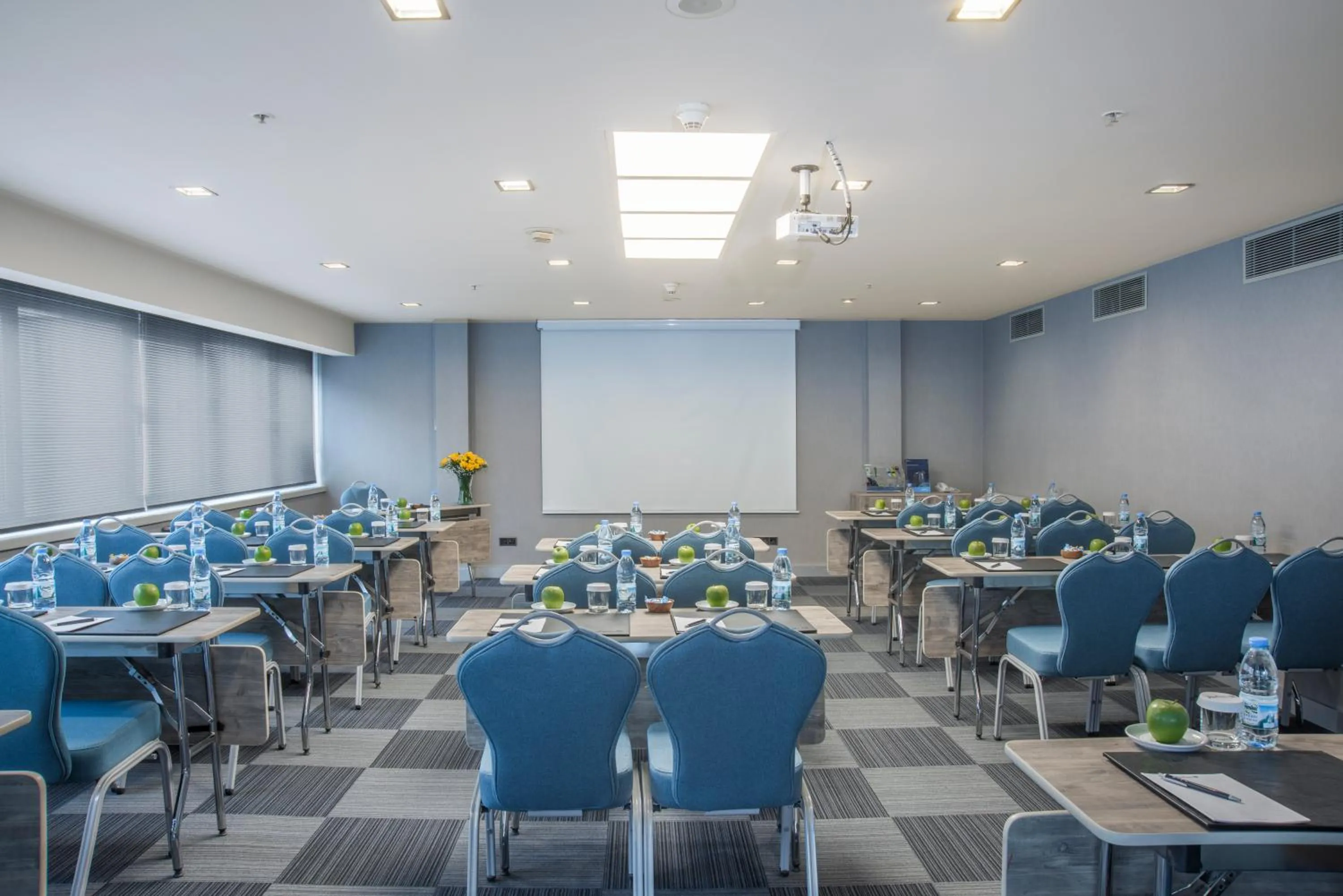 Meeting/conference room in Radisson Blu Ankara