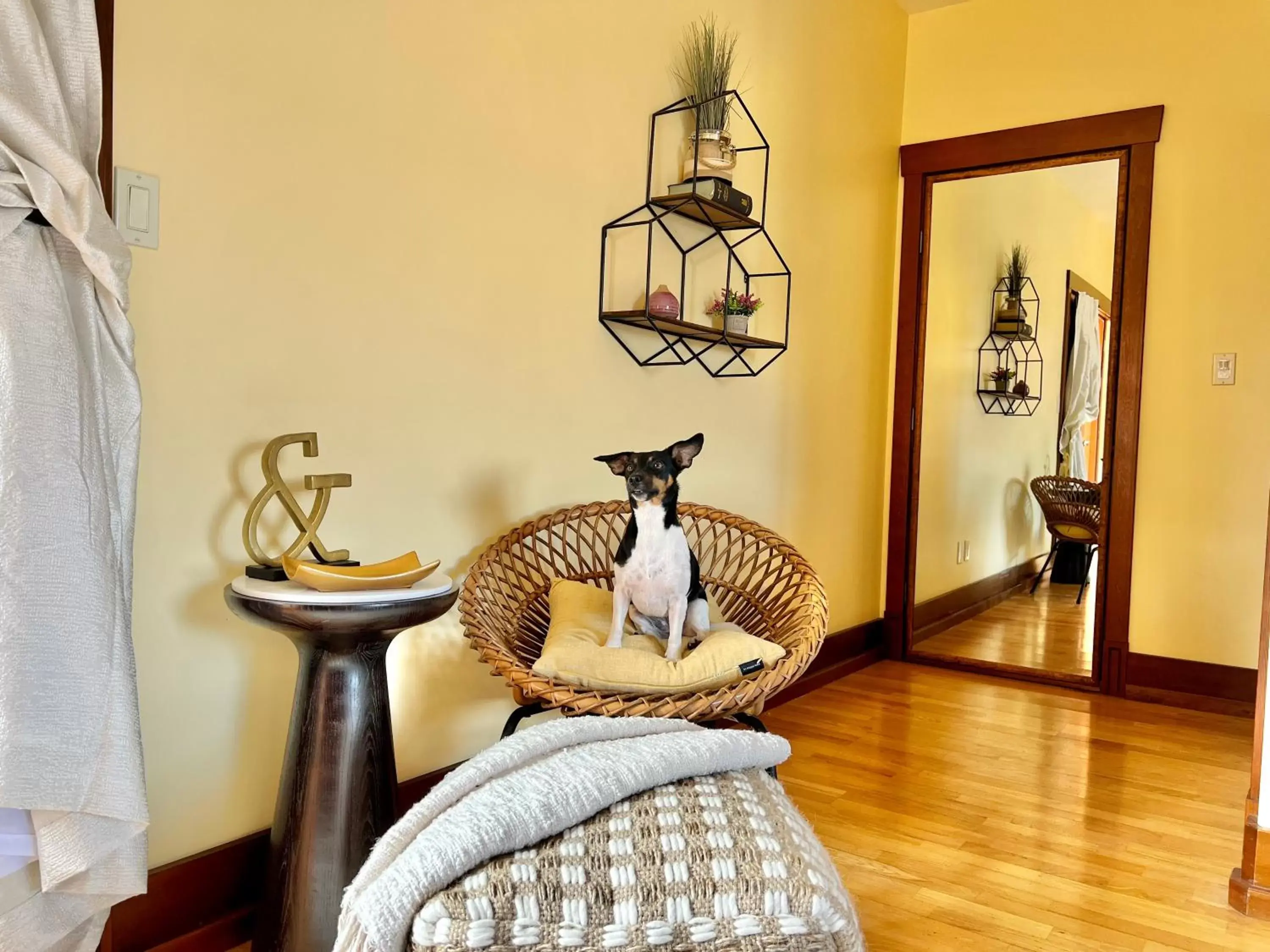 Bedroom in Casa Grande Inn & Suites