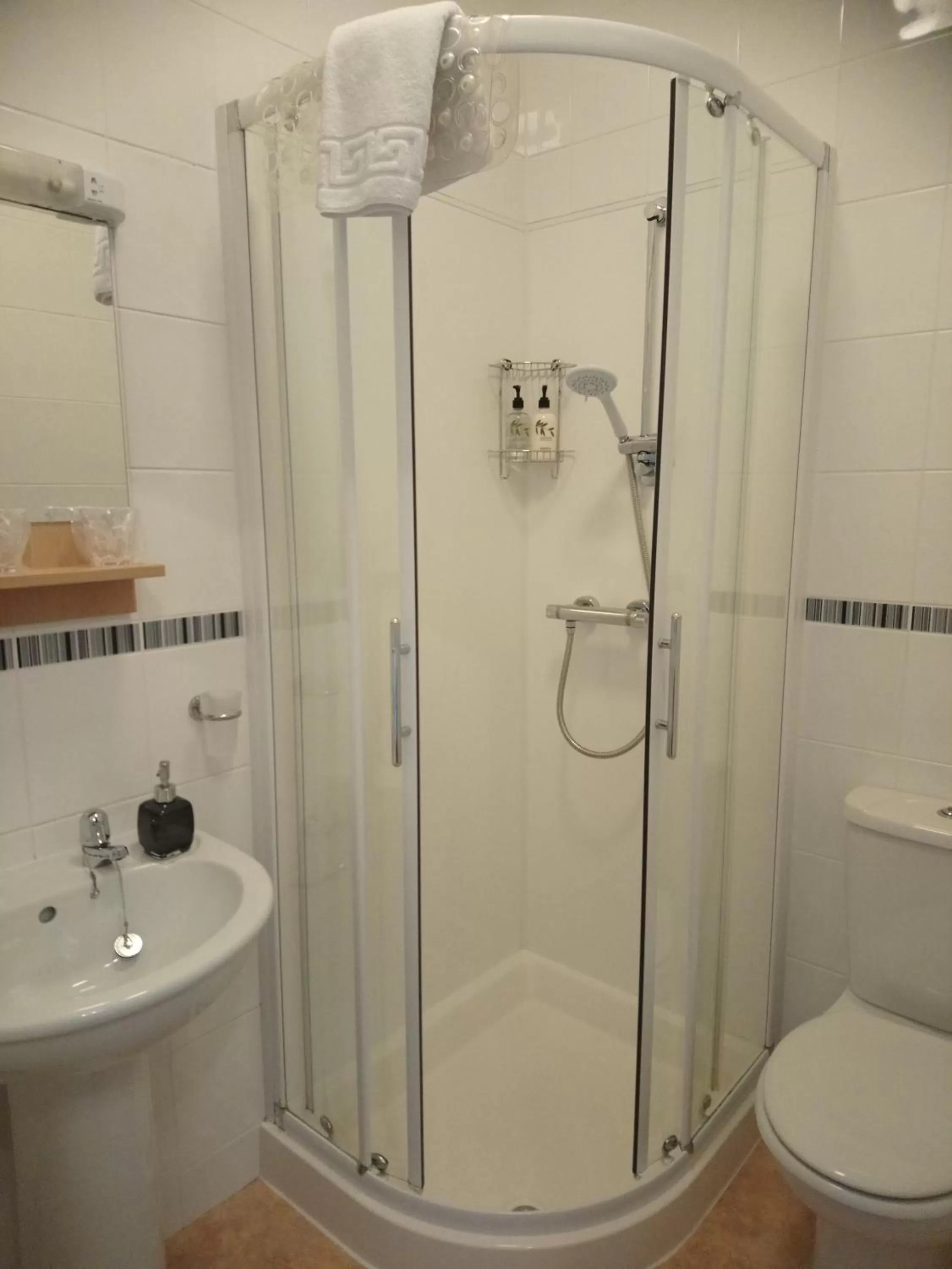 Shower in Cranmore Guest House