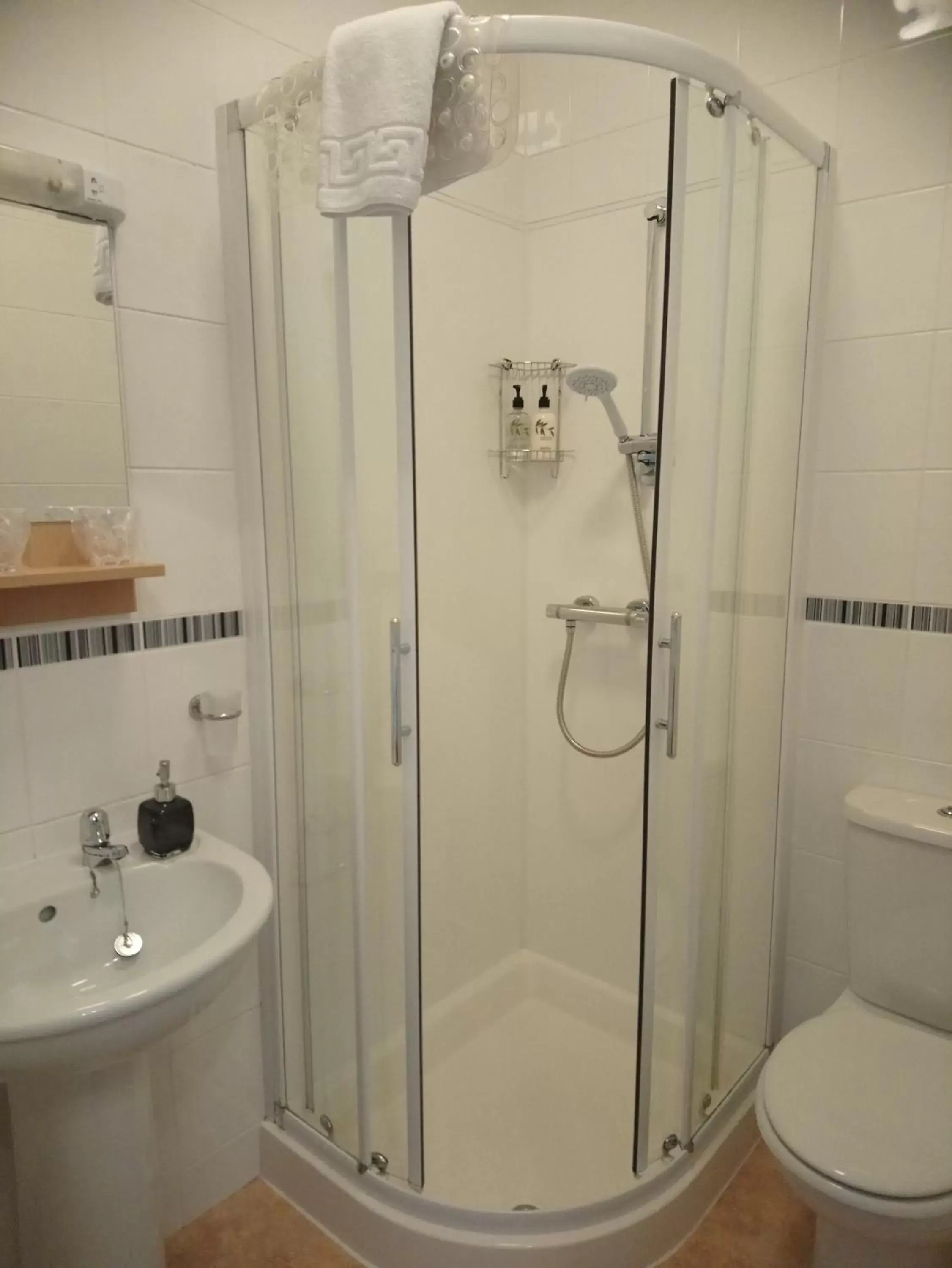 Shower, Bathroom in Cranmore Bed & Breakfast