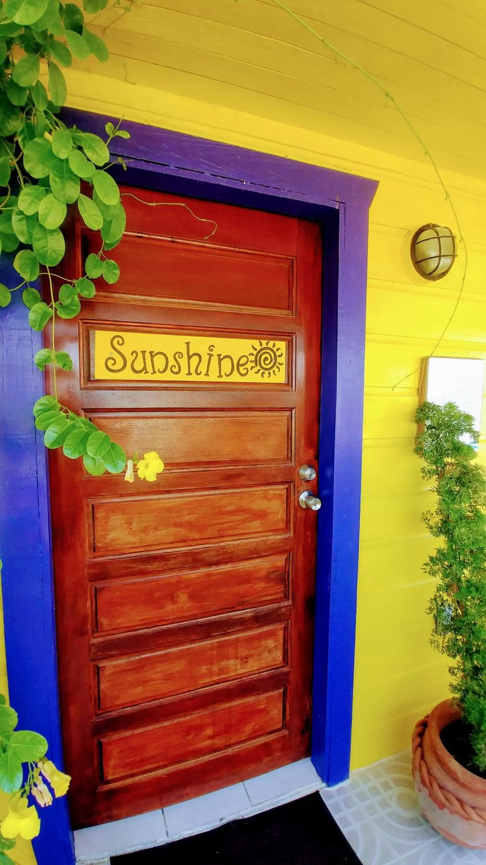 Property building in Yocamatsu