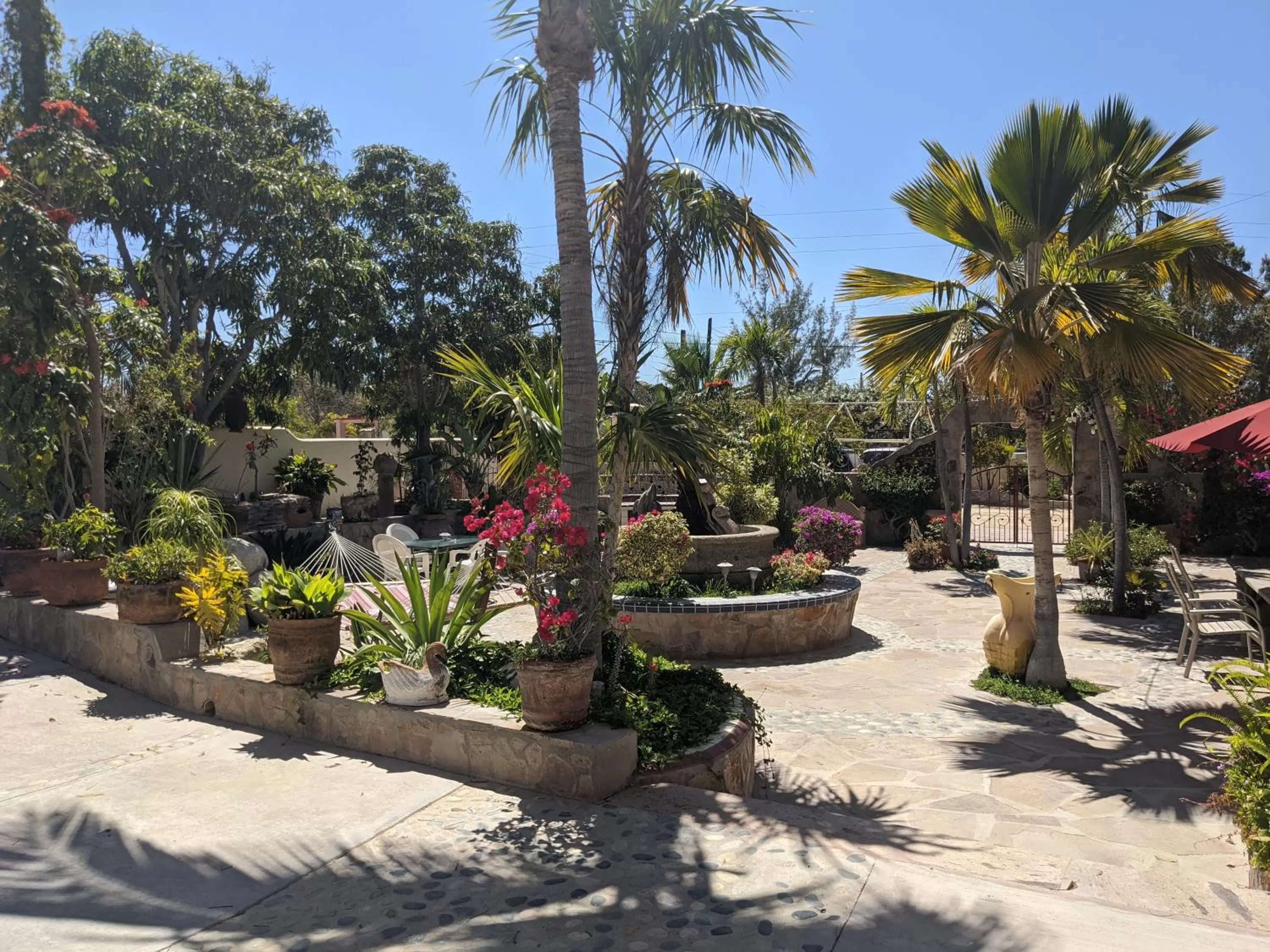 Garden in Hacienda De Palmas