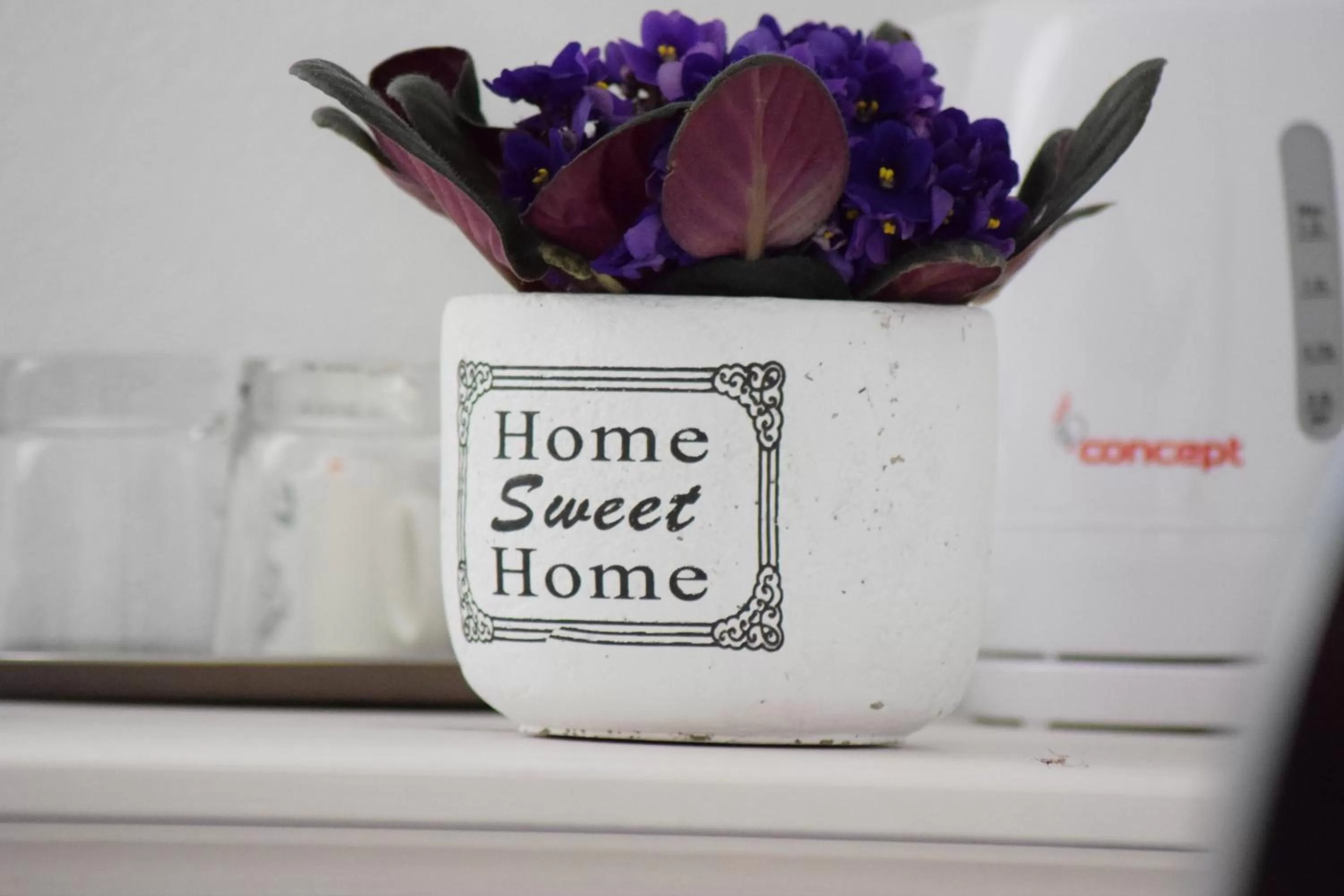 Kitchen or kitchenette in Saint Michael - Garni Hotel