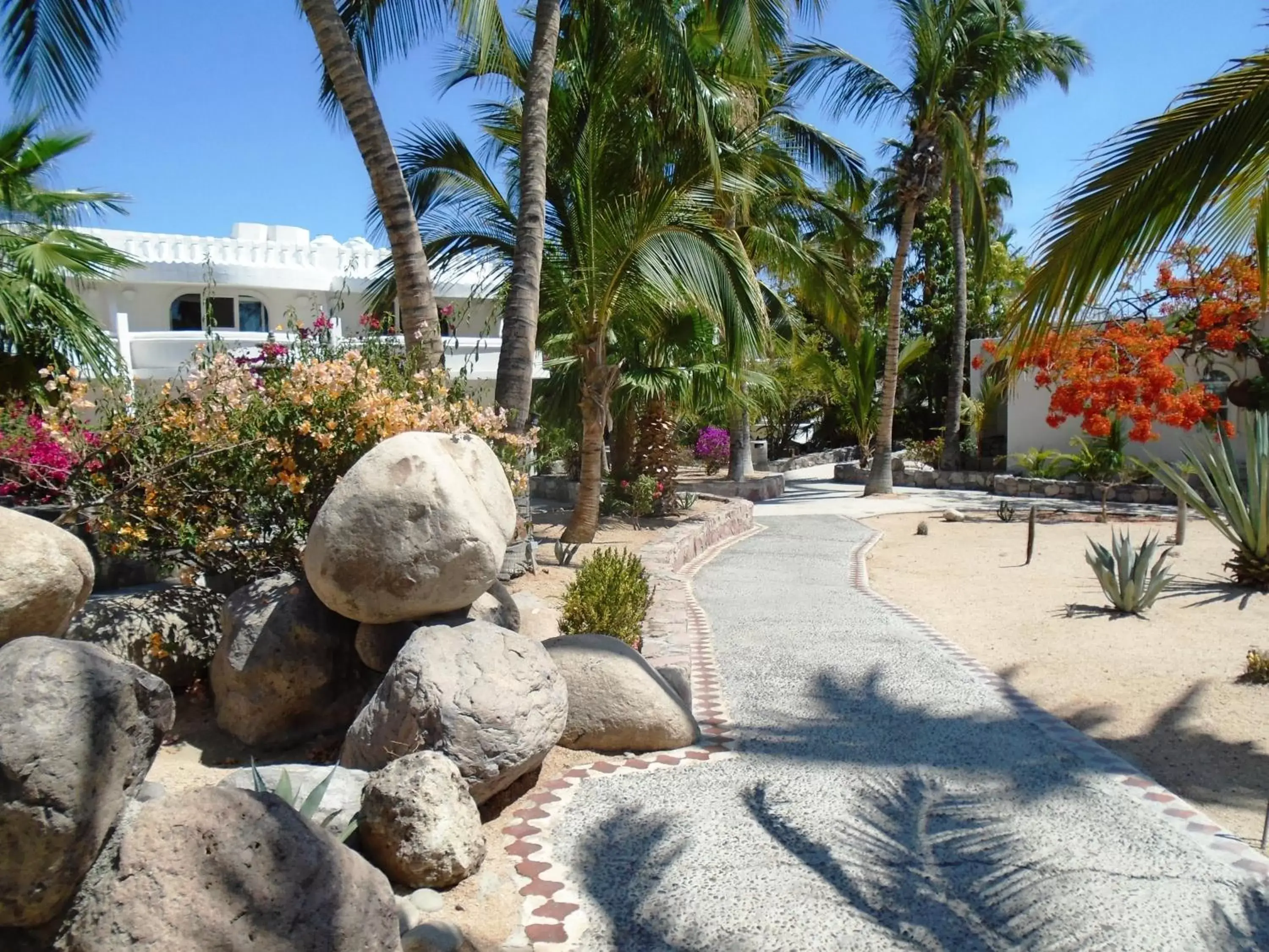 Garden, Beach in Hotel & Suites El Moro