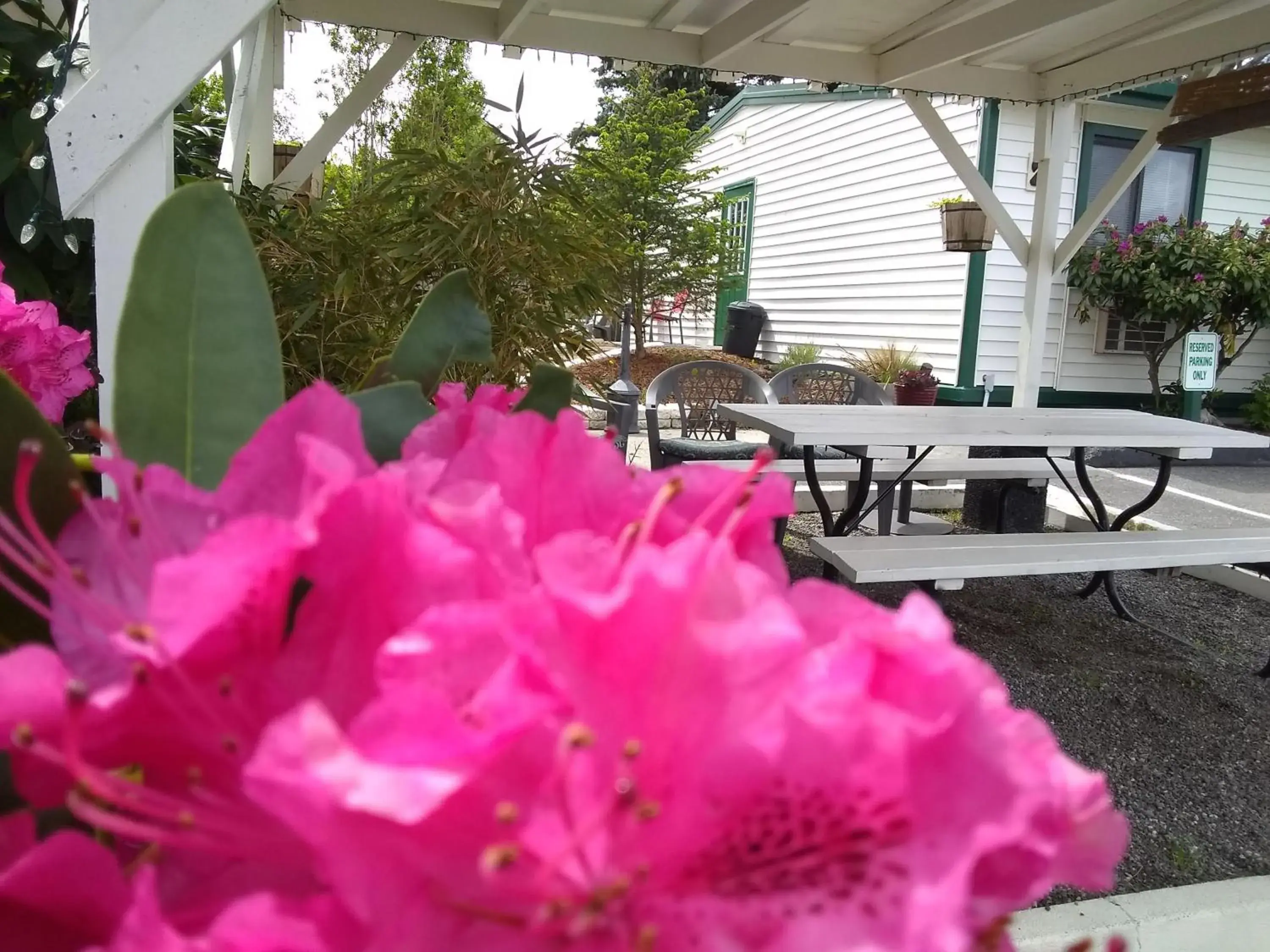 Patio in The Orca Inn