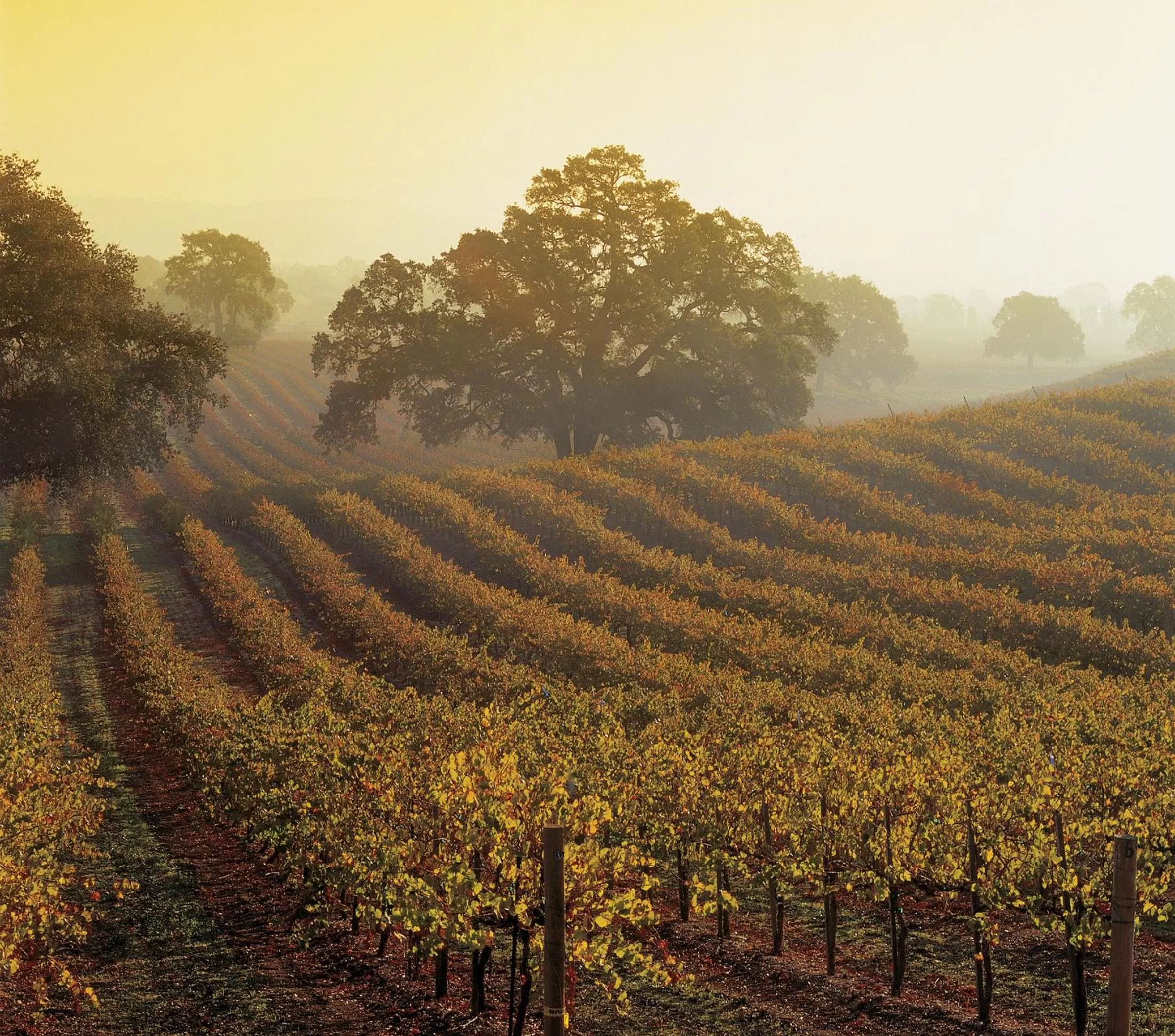 Area and facilities in Monterey Bay Inn