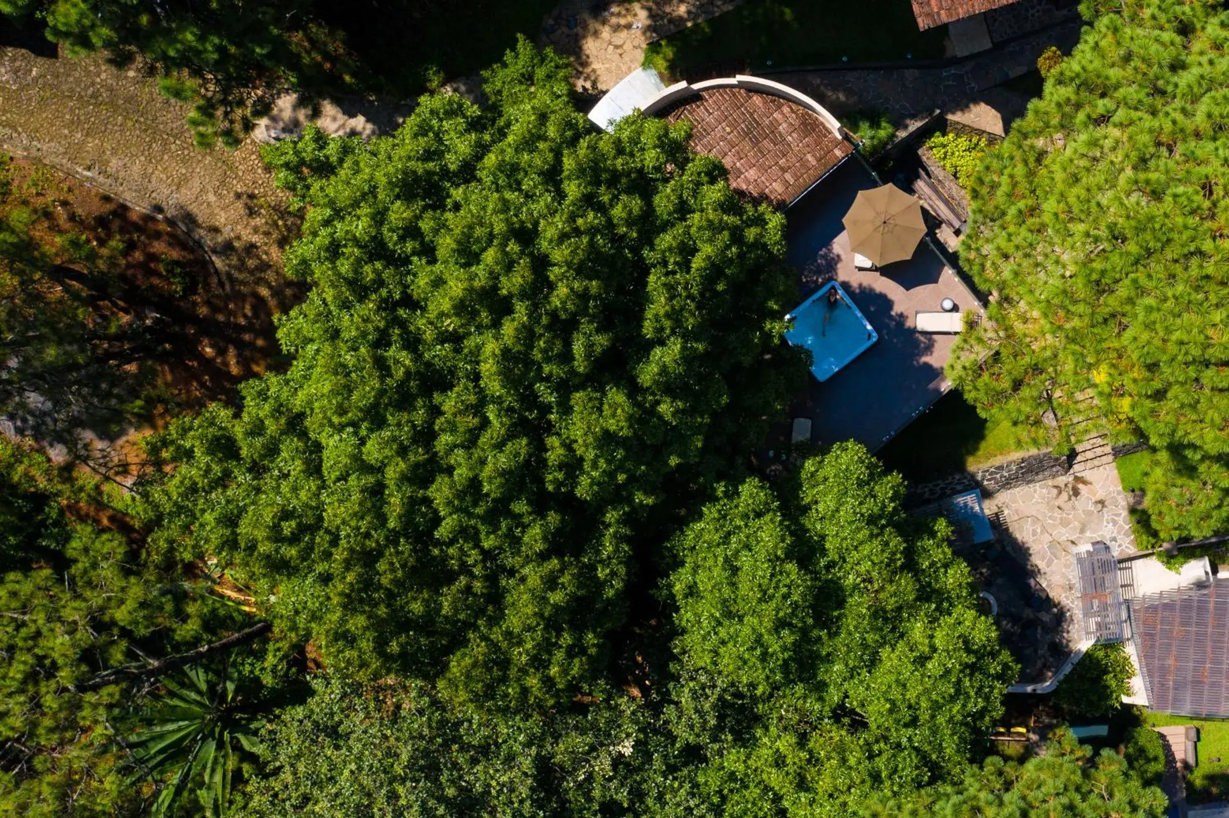 Bird's eye view, Bird's-eye View in Loto Azul Hotel & Spa