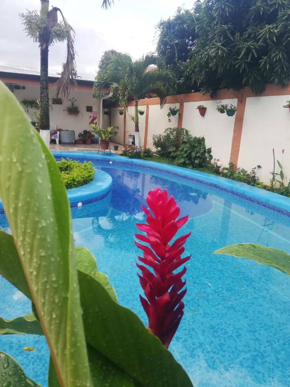 Swimming pool in Berlor Airport Inn