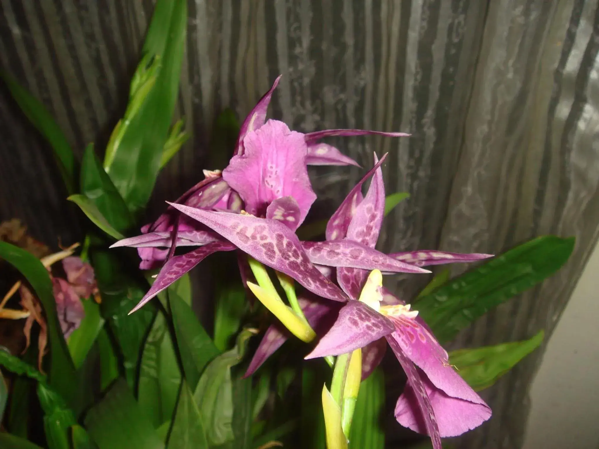 Lobby or reception in The Black Mountain Inn Lobby or reception in The Black Mountain Inn
