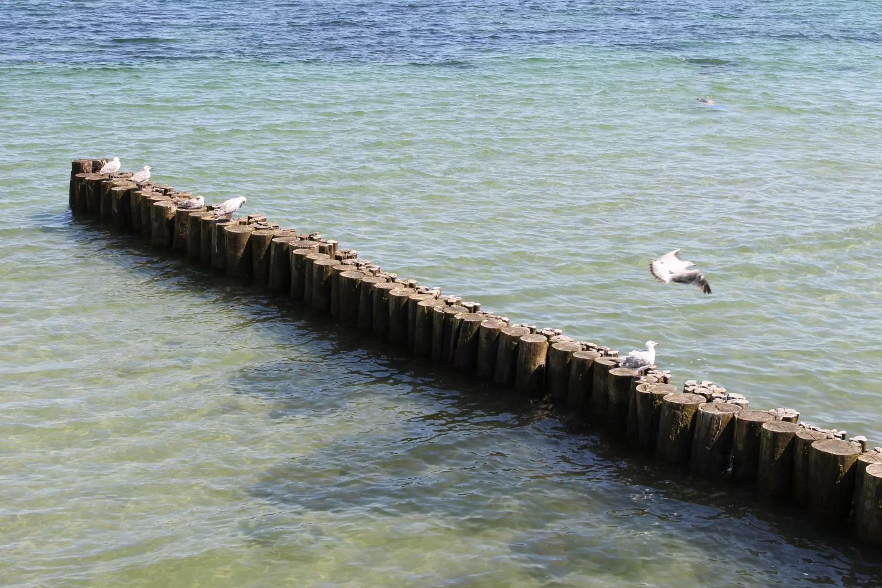 Beach in Yachthafenresidenz