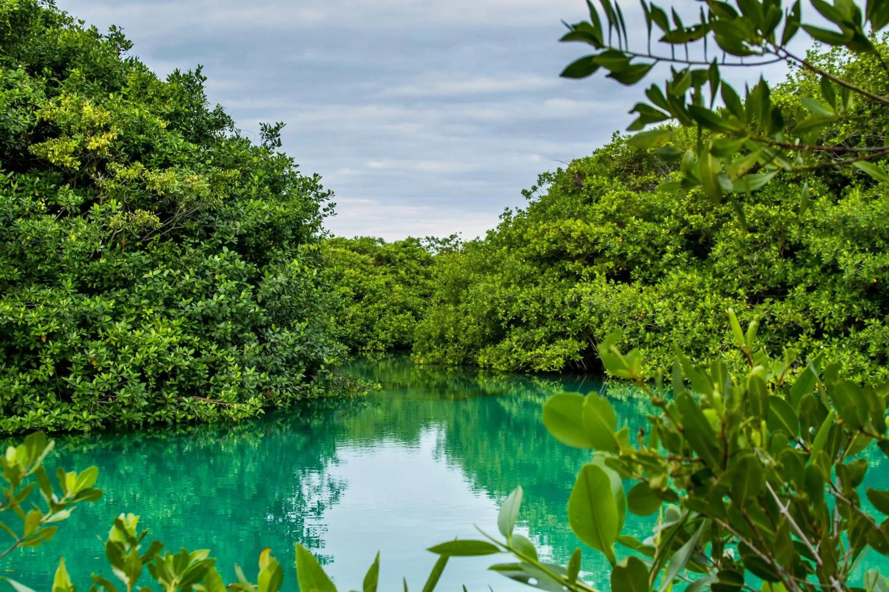 Activities in Cielo Maya Beach Tulum