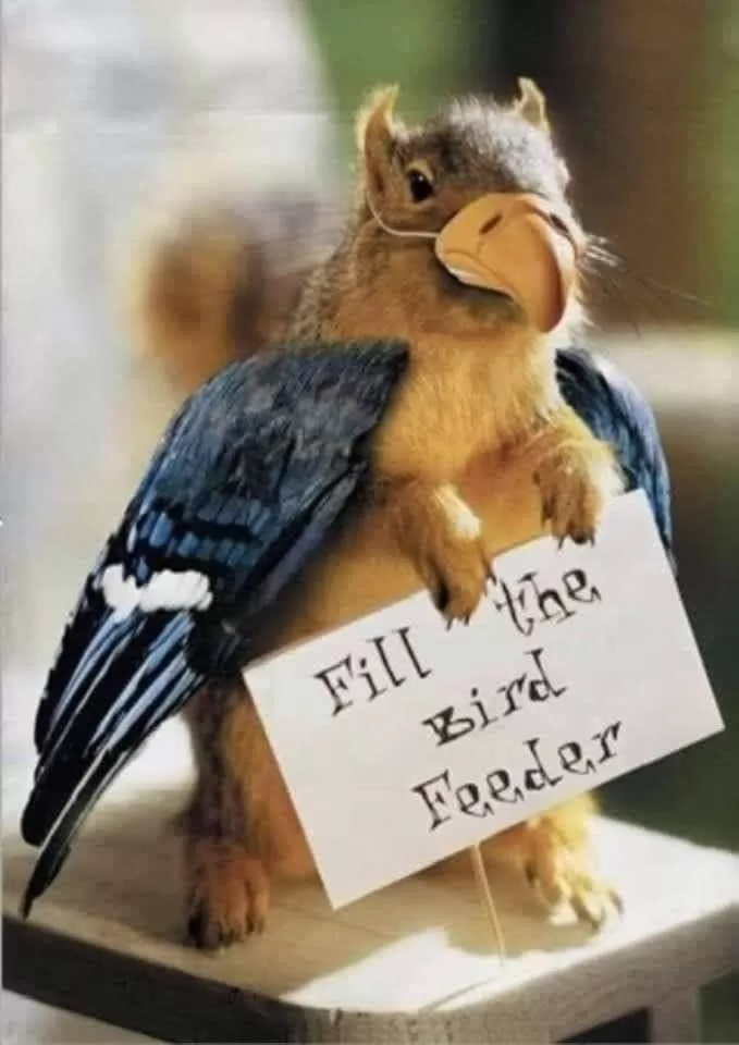 Property building, Other Animals in Retreat at The Knowe Auchincruive Estate