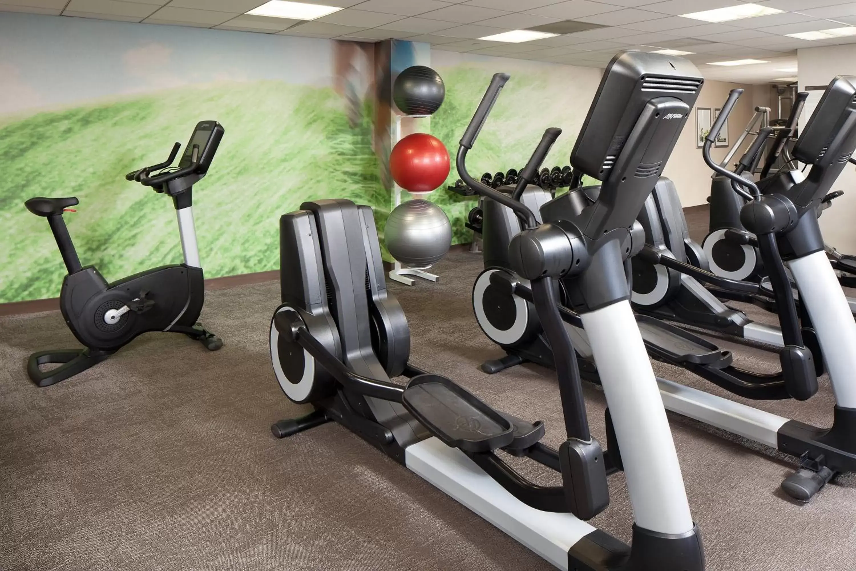 Fitness centre/facilities, Fitness Center/Facilities in The Westin Long Beach