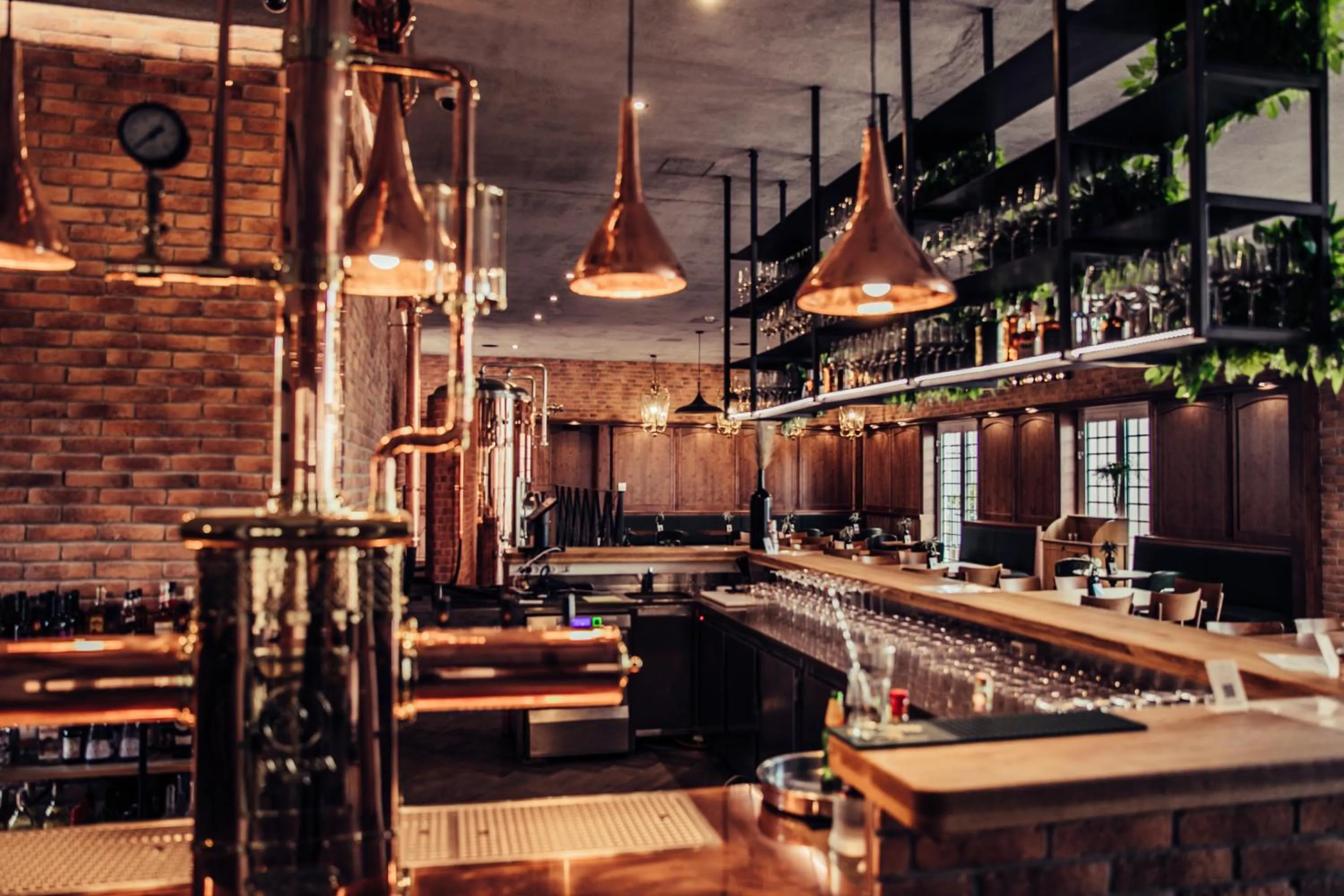 Food and drinks in Amadria Park Ivan