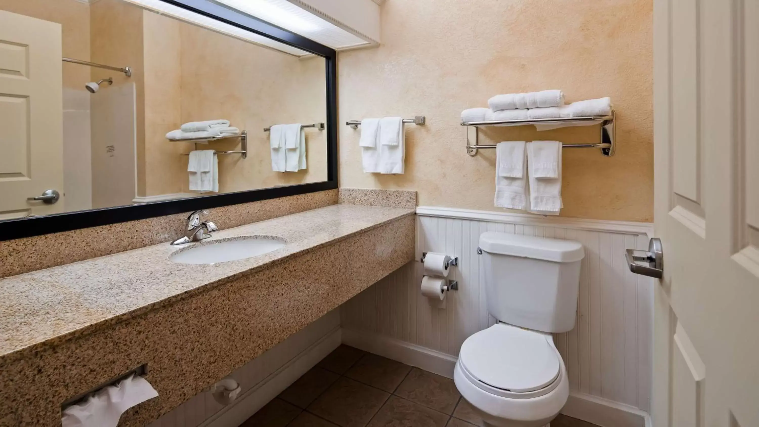 Bathroom in Best Western Dinosaur Valley Inn & Suites