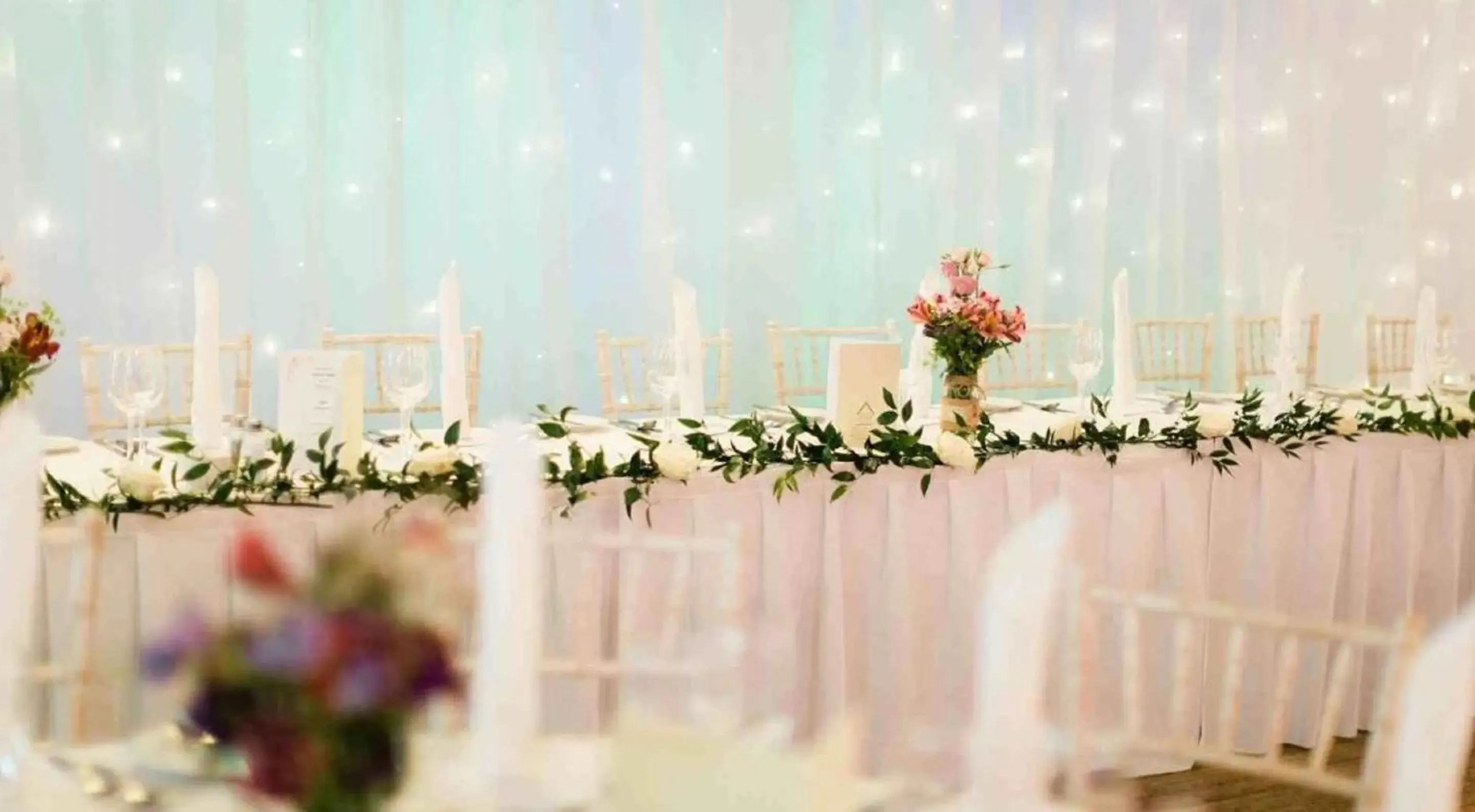 wedding, Banquet Facilities in The Abbeyleix Manor Hotel