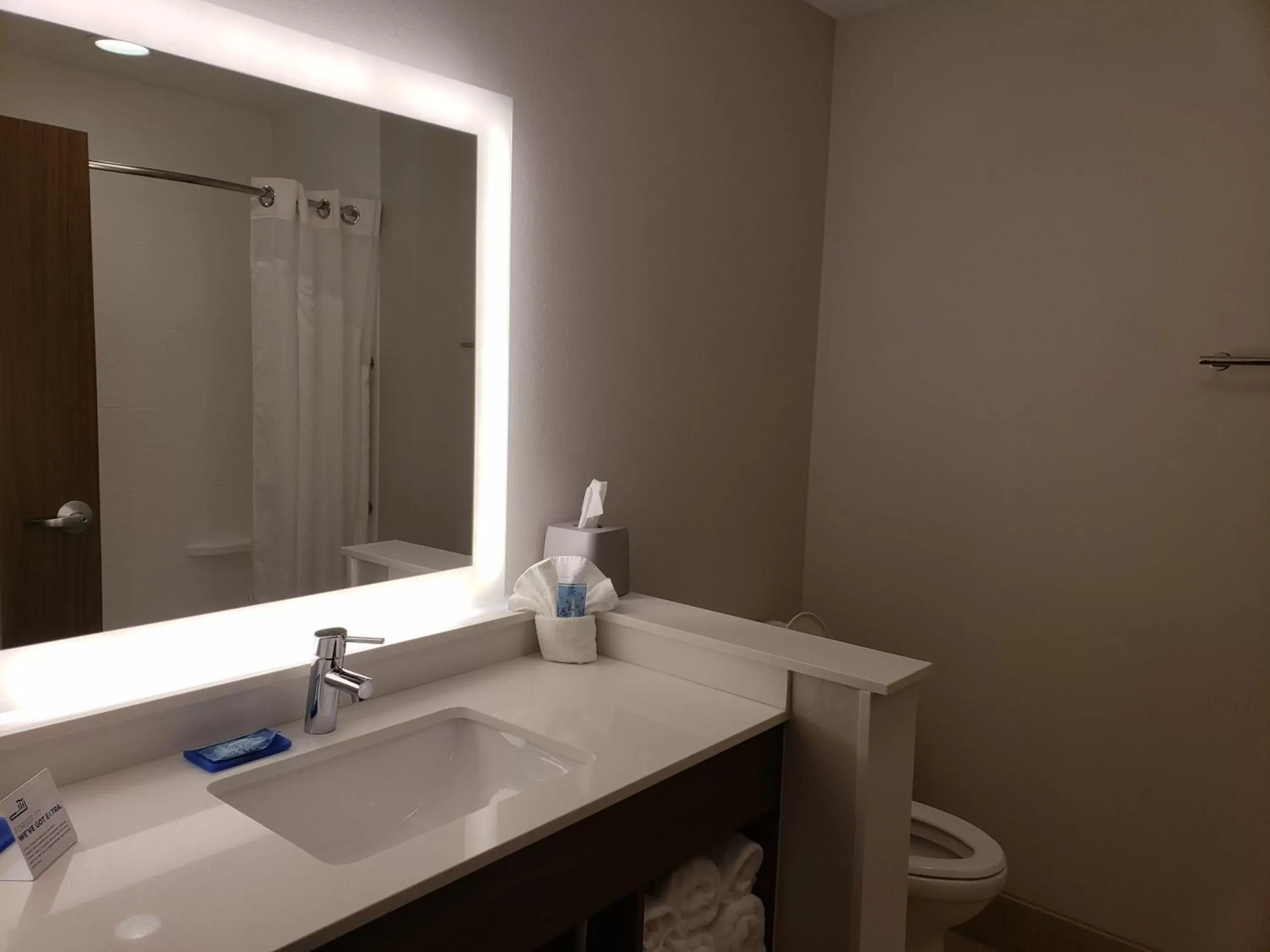 Bathroom in Holiday Inn Express & Suites - Brigham City - North Utah, an IHG Hotel