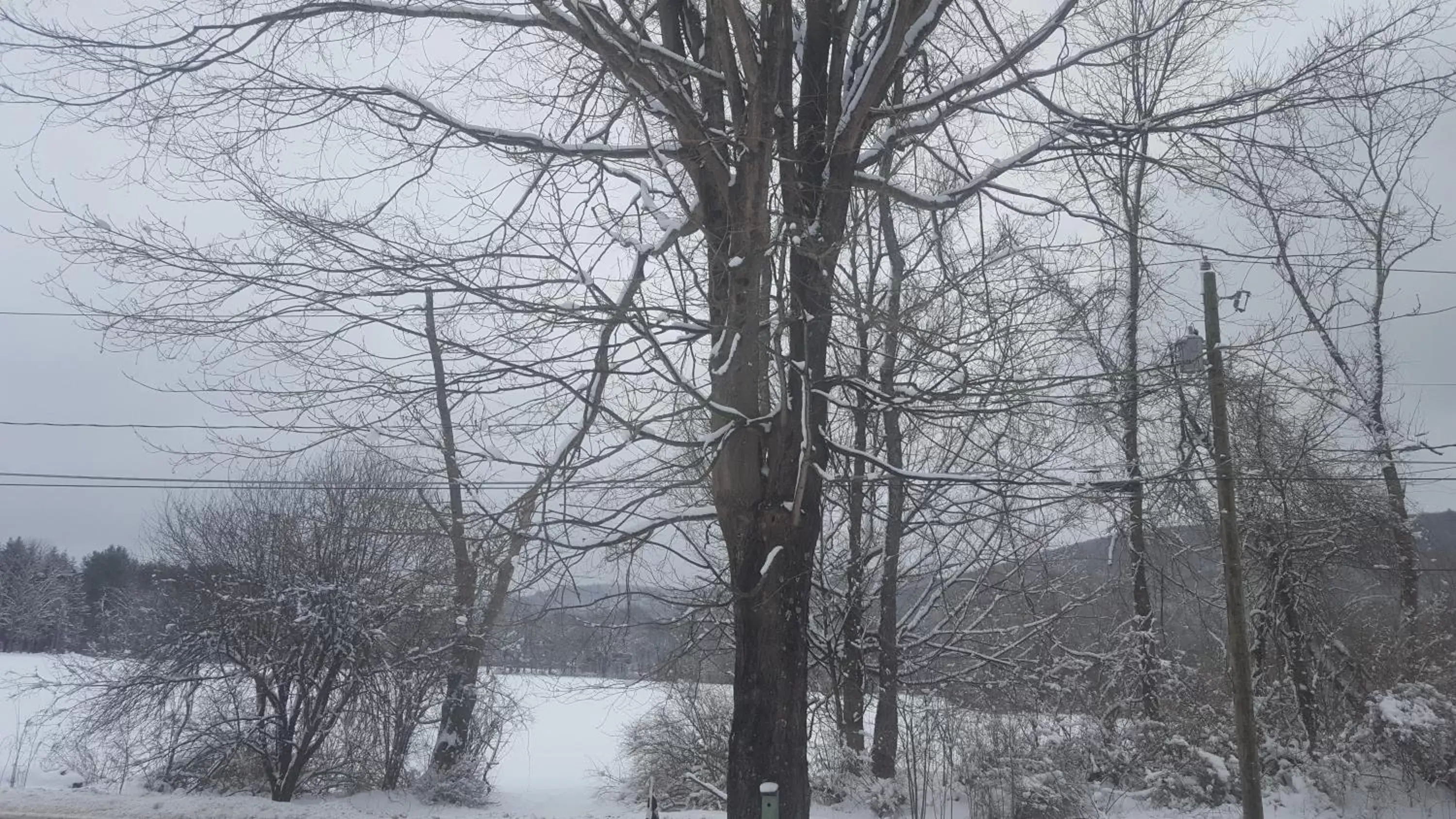 Winter in A Meadow House