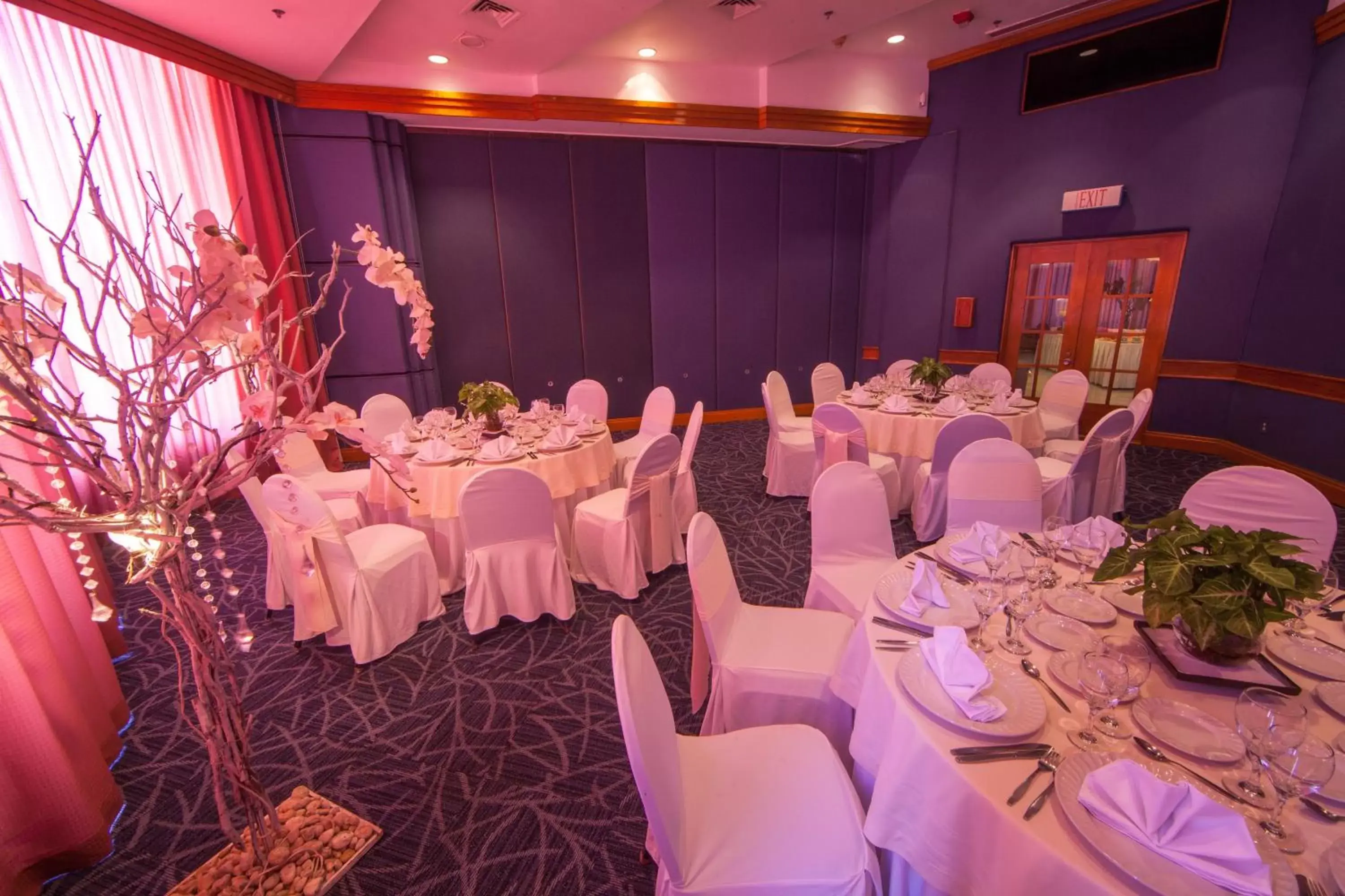 Banquet/Function facilities, Banquet Facilities in Park Royal Beach Acapulco - All Inclusive