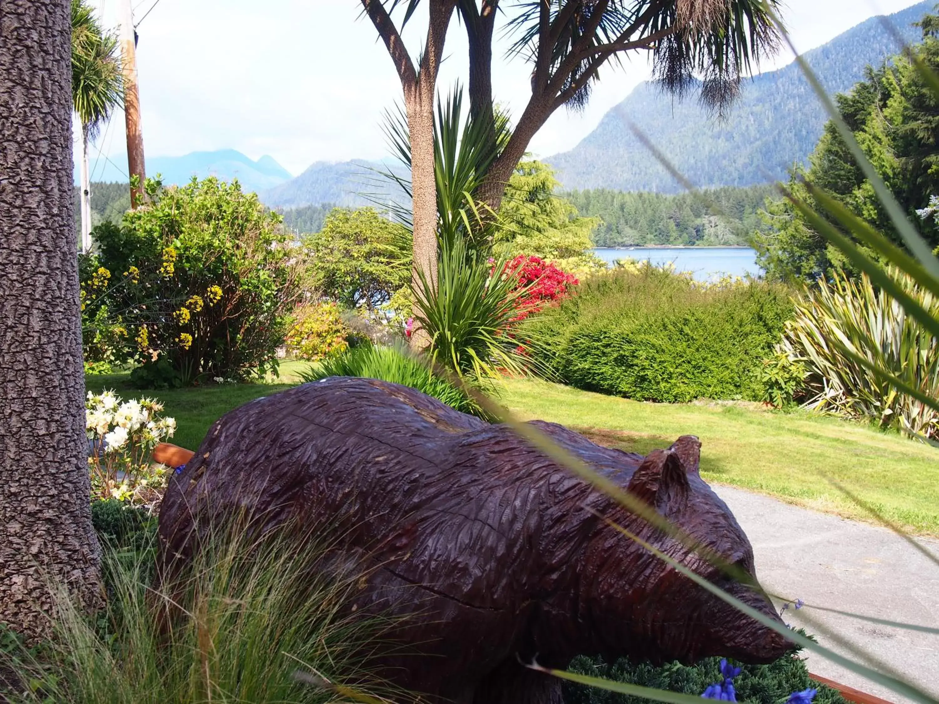 Natural landscape, Other Animals in Tofino Motel Harborview