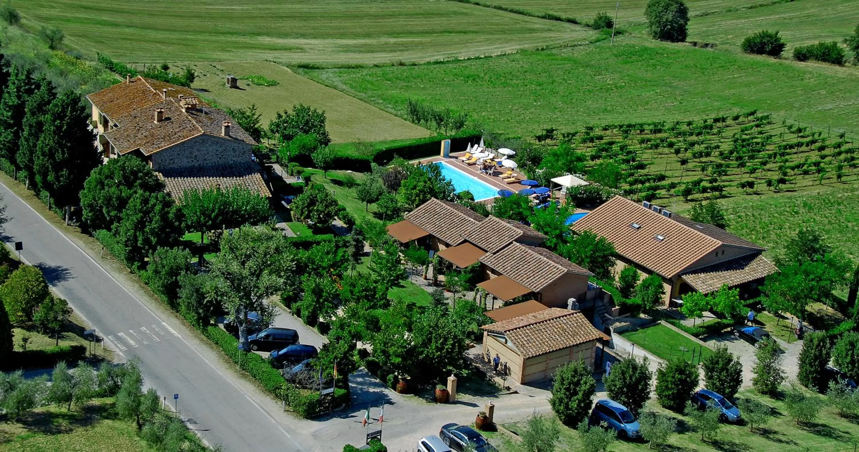 Bird's eye view, Bird's-eye View in Tenuta Badia '99