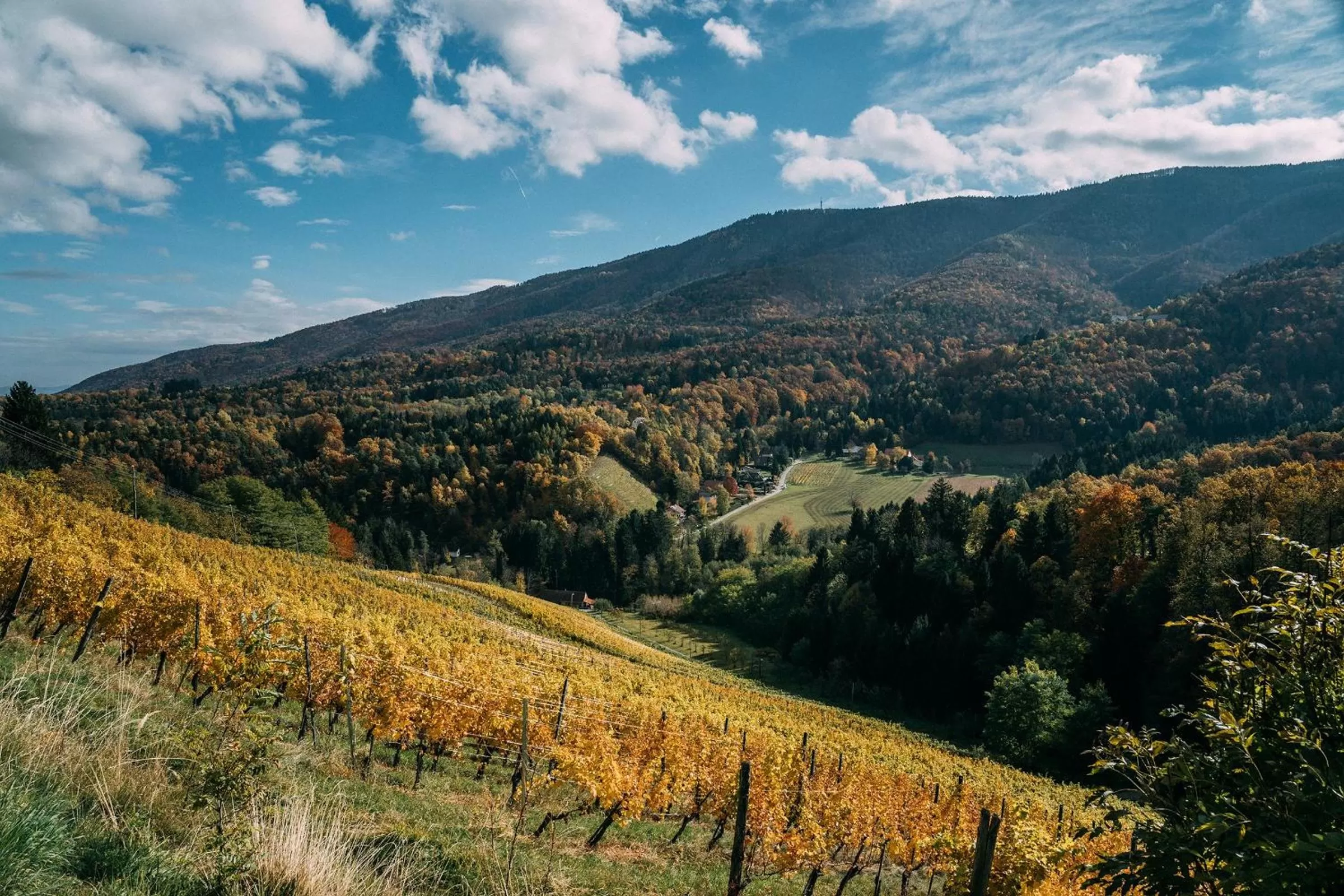 Guest House Pri Gondoli